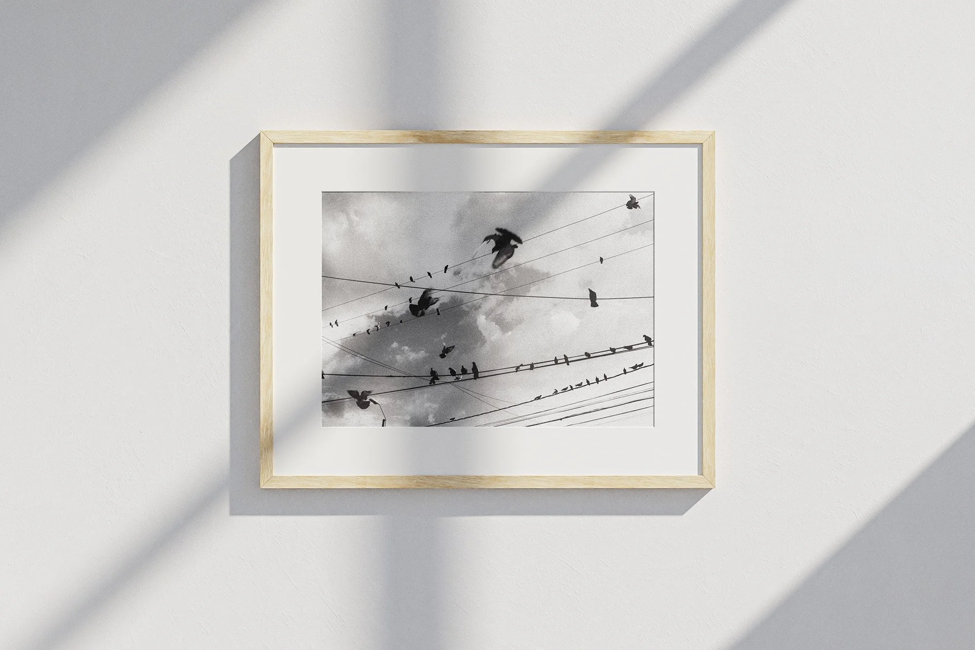 oiseaux-sur-les-fils_mockup.jpg