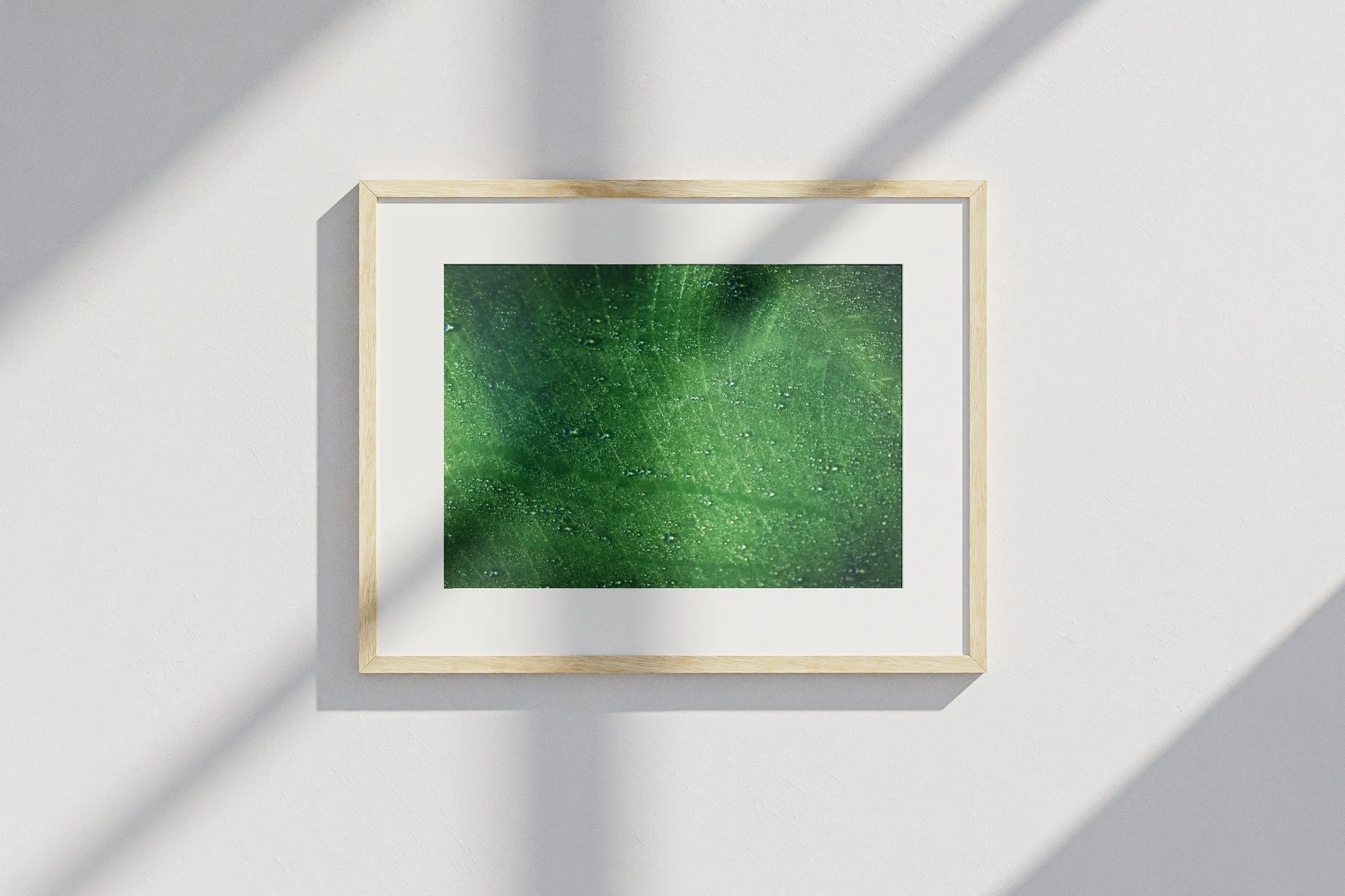 rosee-verte_mockup.jpg