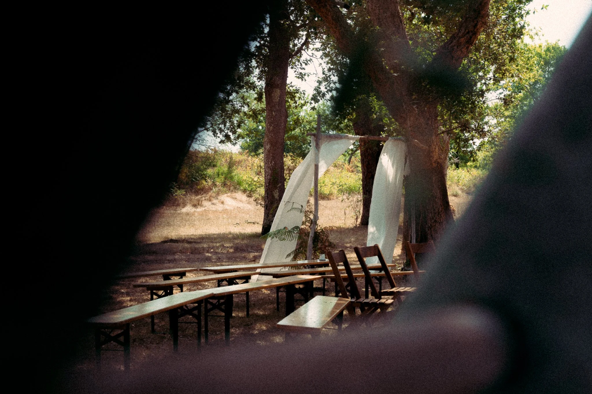 photographe-mariage-messanges-decor-ceremonie-laique-sous-les-arbres.jpg