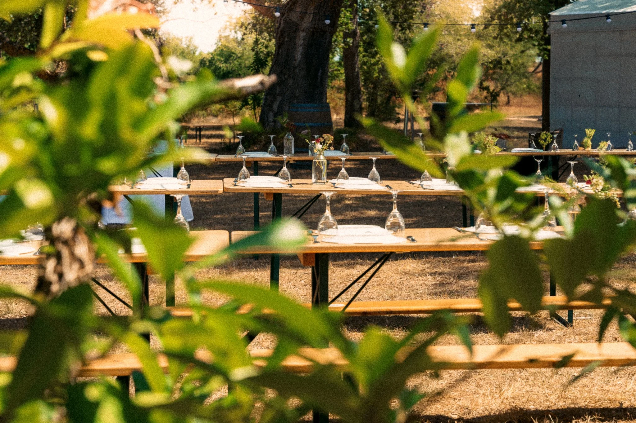 photographe-mariage-anglet-tables-dressees-reception-plein-air.jpg