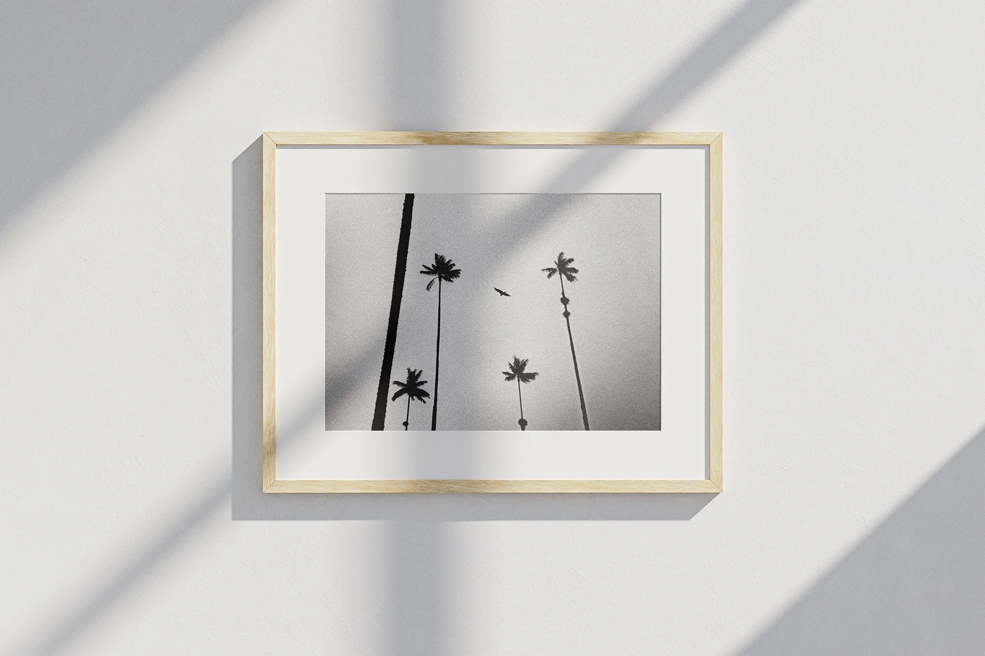 palmes-et-vol-d-oiseau_mockup.jpg