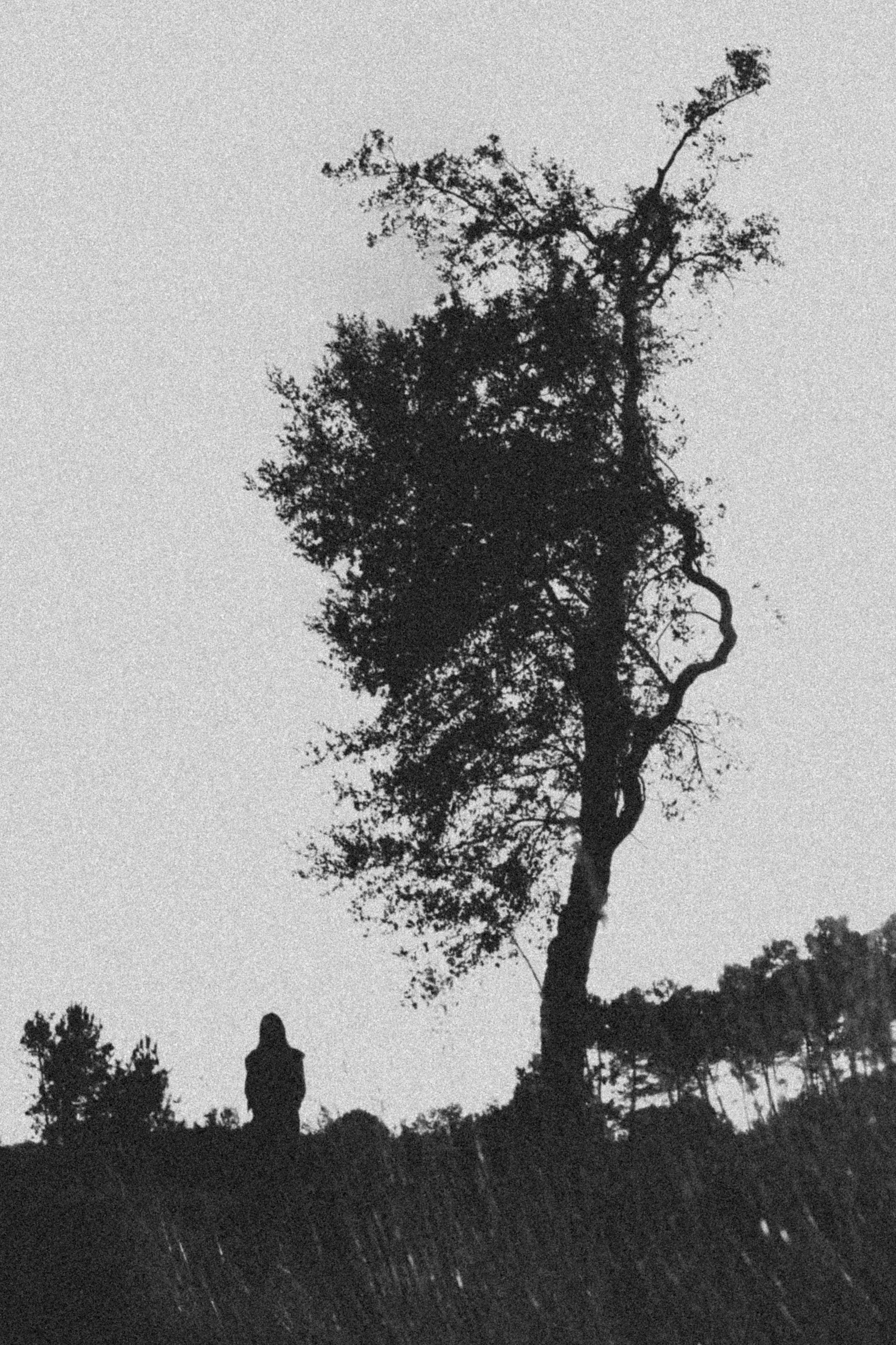 Woman and Tree B&W  — Tirage d'art