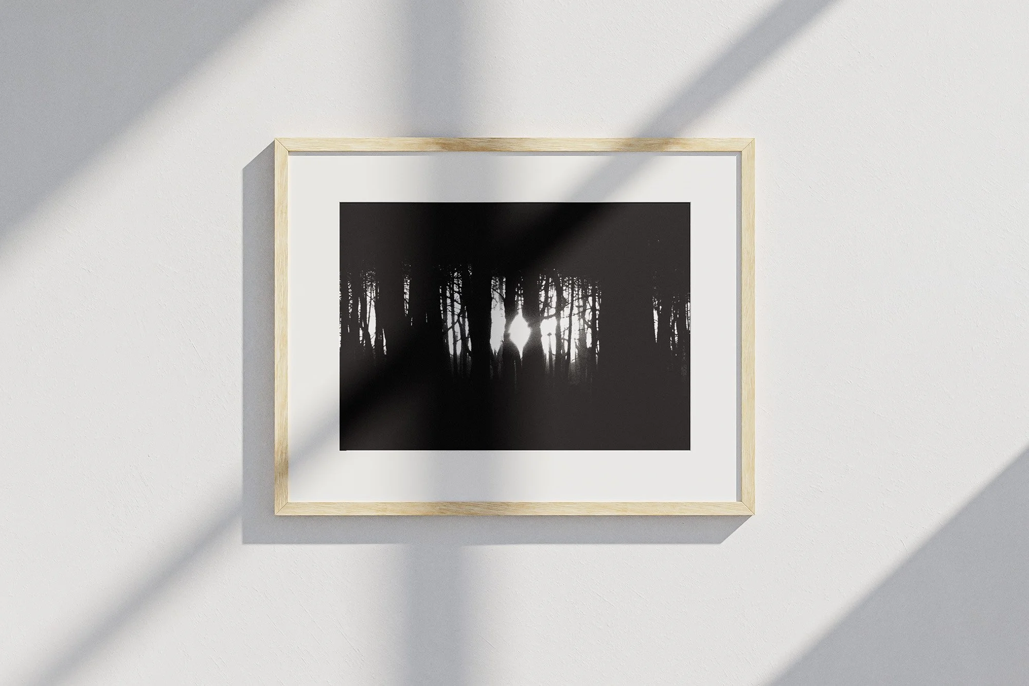 clarte-entre-les-pins_mockup.jpg