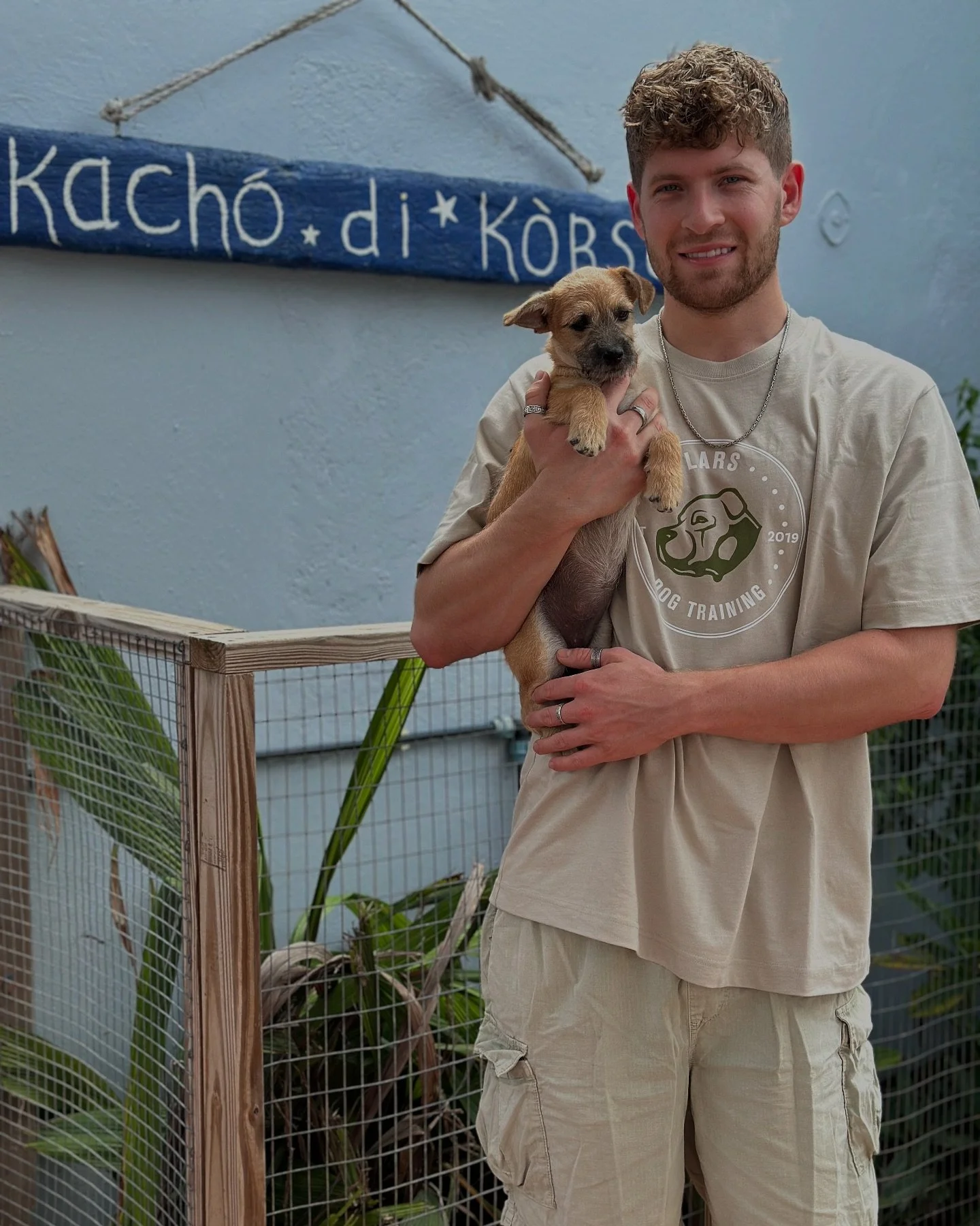 PUPPIES 🐶 ik ben een weekje op Cura&ccedil;ao, en natuurlijk vooral om de honden te zien 😋

De 2 pups die ik samen vast heb zijn nog beschikbaar voor adoptie!! Ben je op zoek naar een leuk hondje, neem contact op met @kdk.curacao om ze te leren ken