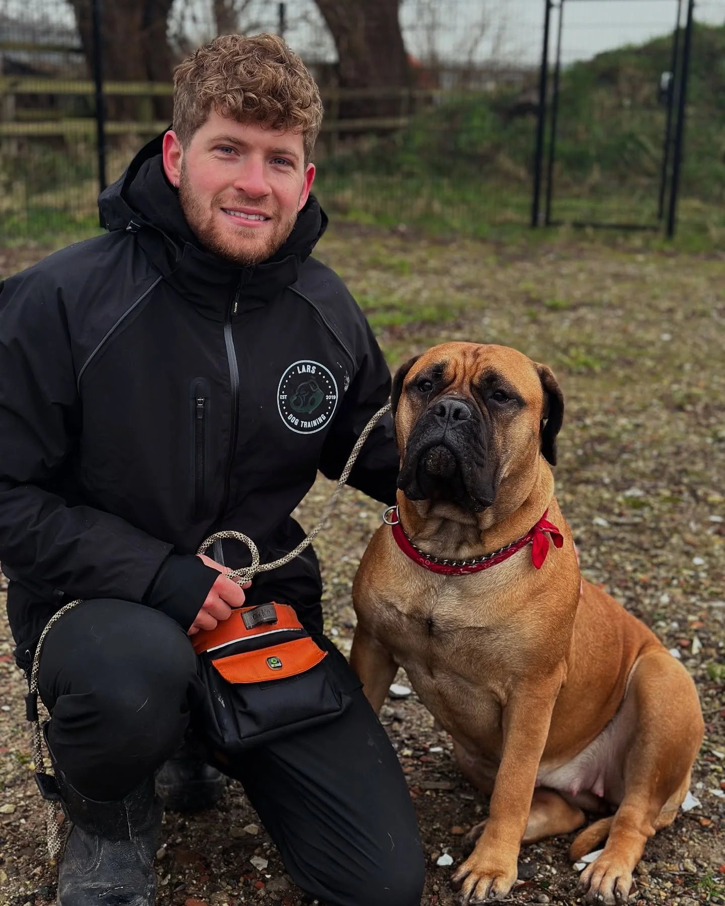 YARA 🫡

Vandaag weer begonnen in NL, de eerste training was met Yara. Het was super met haar te werken maar ik voel mijn handen en voeten niet helemaal meer... 🥶

Yara is een geweldige Bullmastiff met een eigen wil (😆). Ze is bang voor veel dingen
