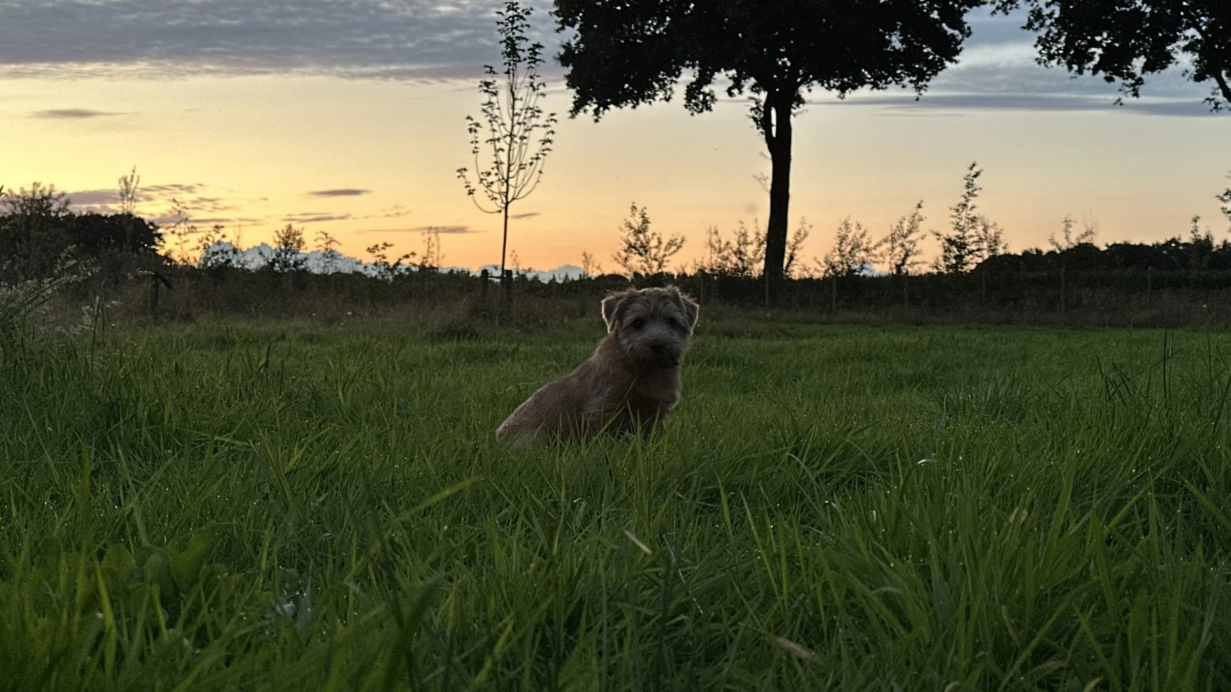 IMG_7481.jpeg