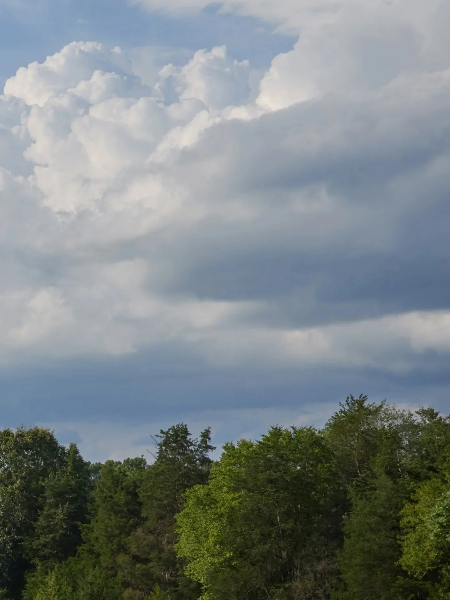 Dear friends,

I&rsquo;d like to begin again here,
and receive you as I would receive you in my studio&hellip;

This new chapter is my way of inviting you closer,
 to experience not just the finished paintings,
 but the life that surrounds them.

I h