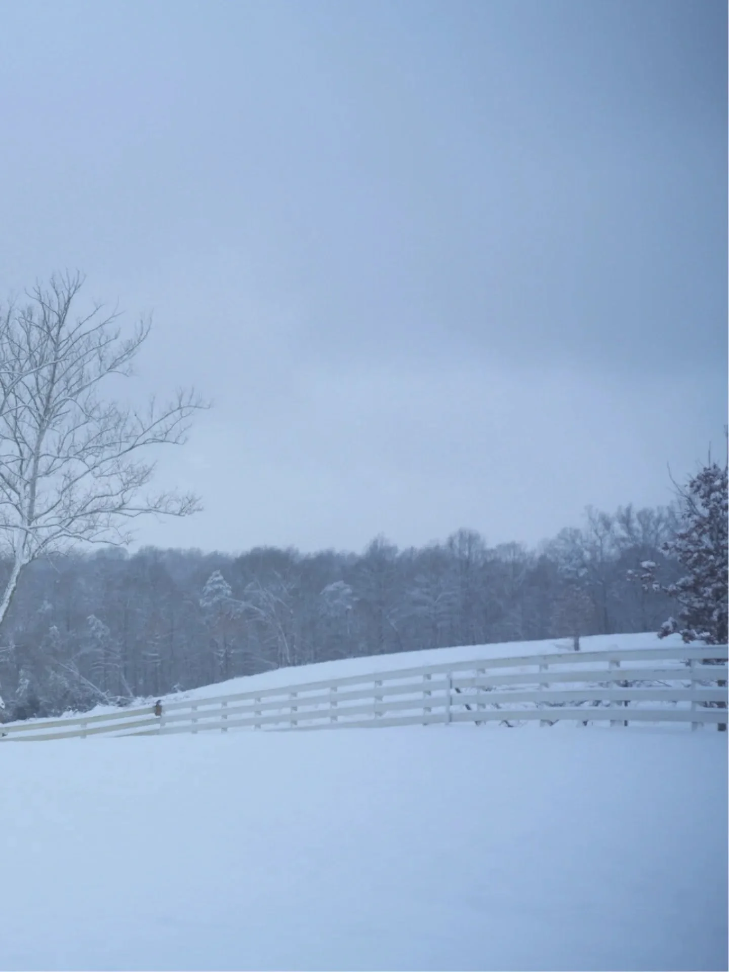 Ice and snow overlooking my summer studio and the vineyard.

I truly love all the seasons, but winter has a way of reminding me who is really in charge&hellip;Mother Nature.

Even in harsh weather, there is quiet beauty, stillness, and perspective.