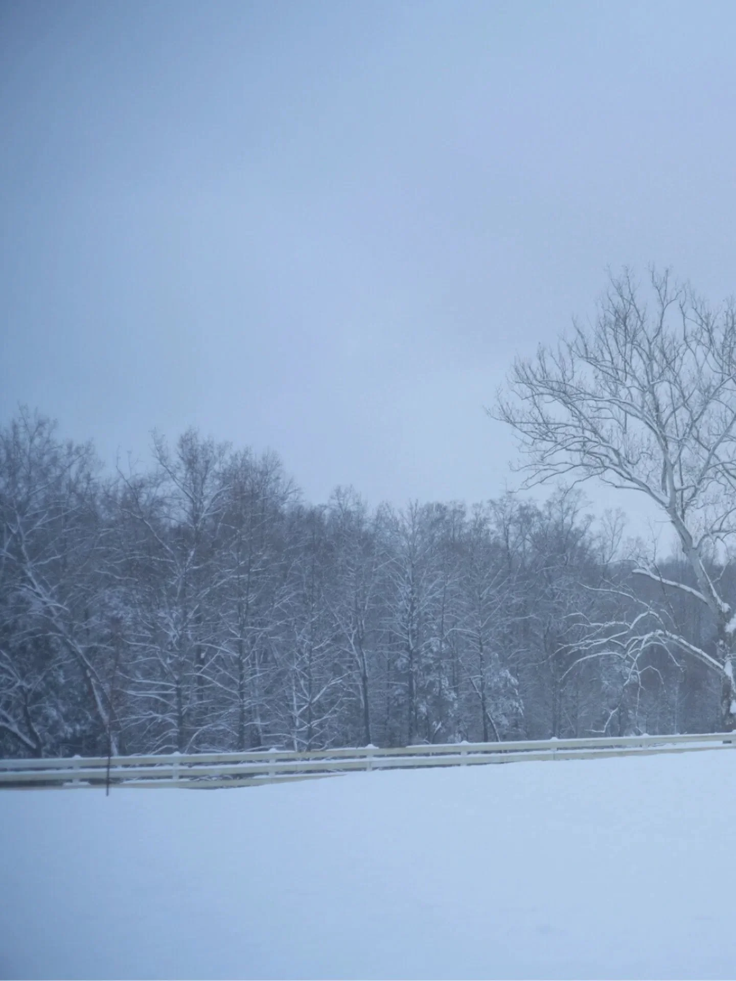 Winter is also a time of labor and preparation.
Planning museum exhibitions, repairing fences after harvest, and tending to the land, these are the rhythms that shape both the farm and my work in the studio.

Even in cold and ice, each task grounds m