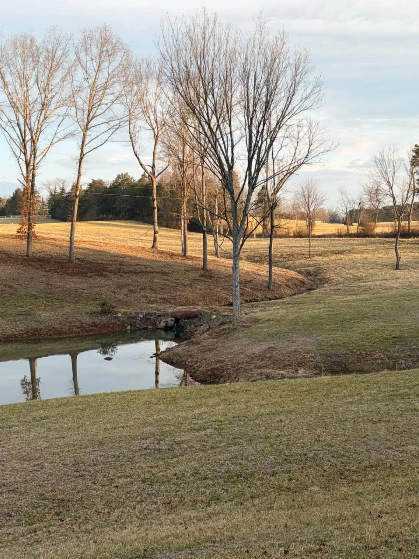 Every day should be Earth Day. 

For me, stewardship is not a date on the calendar, but a daily ritual. It is found in the auroral chant of the morning birds, the patient observation of a budding maple, and the slow, rhythmic dialogue between the soi