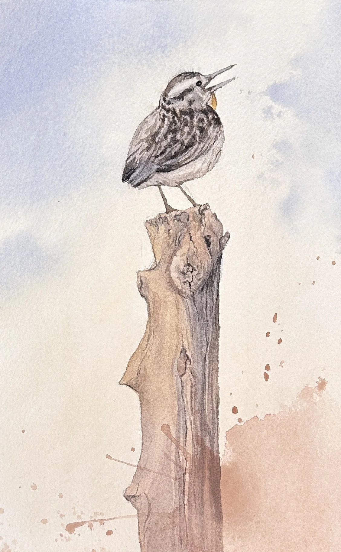 Singing Meadlowlark