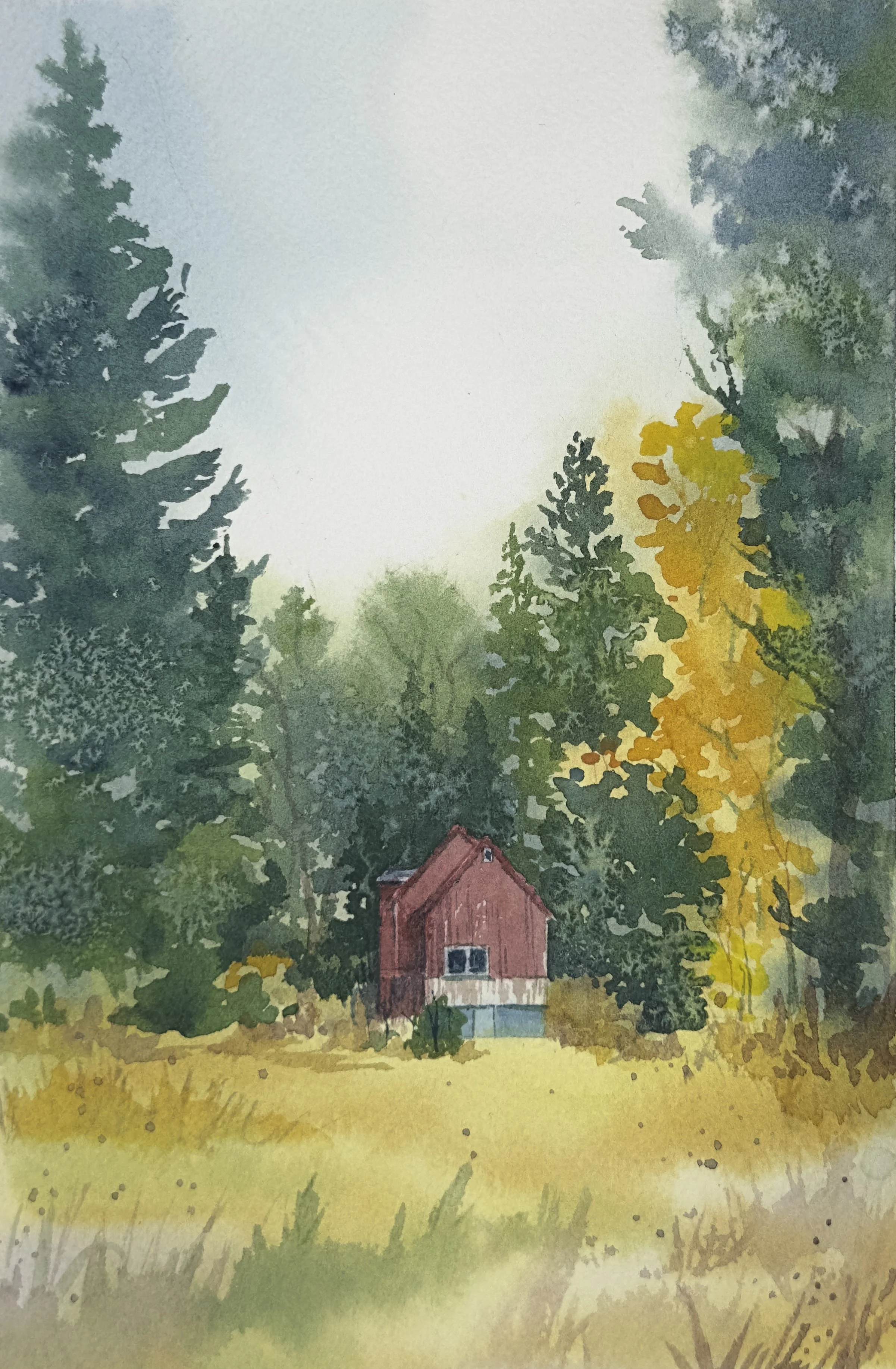 Idaho