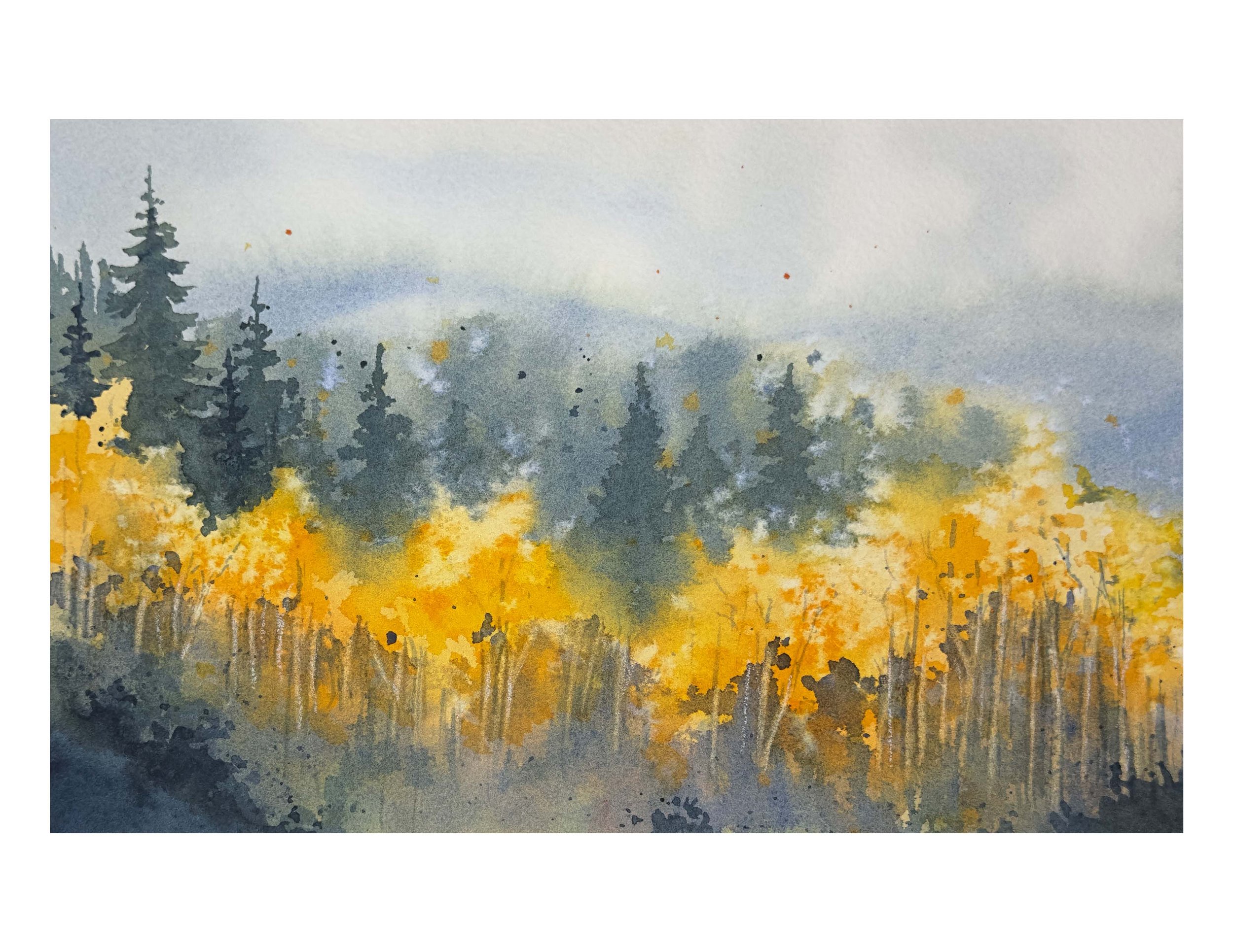 Monte Christo, Utah: Autumn in the Aspens