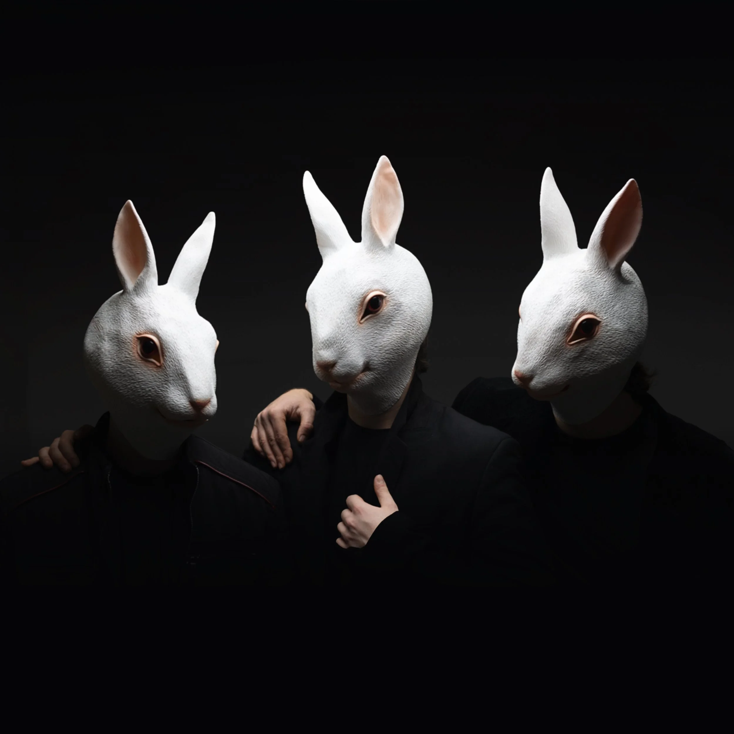 HISTRIATRIA Project