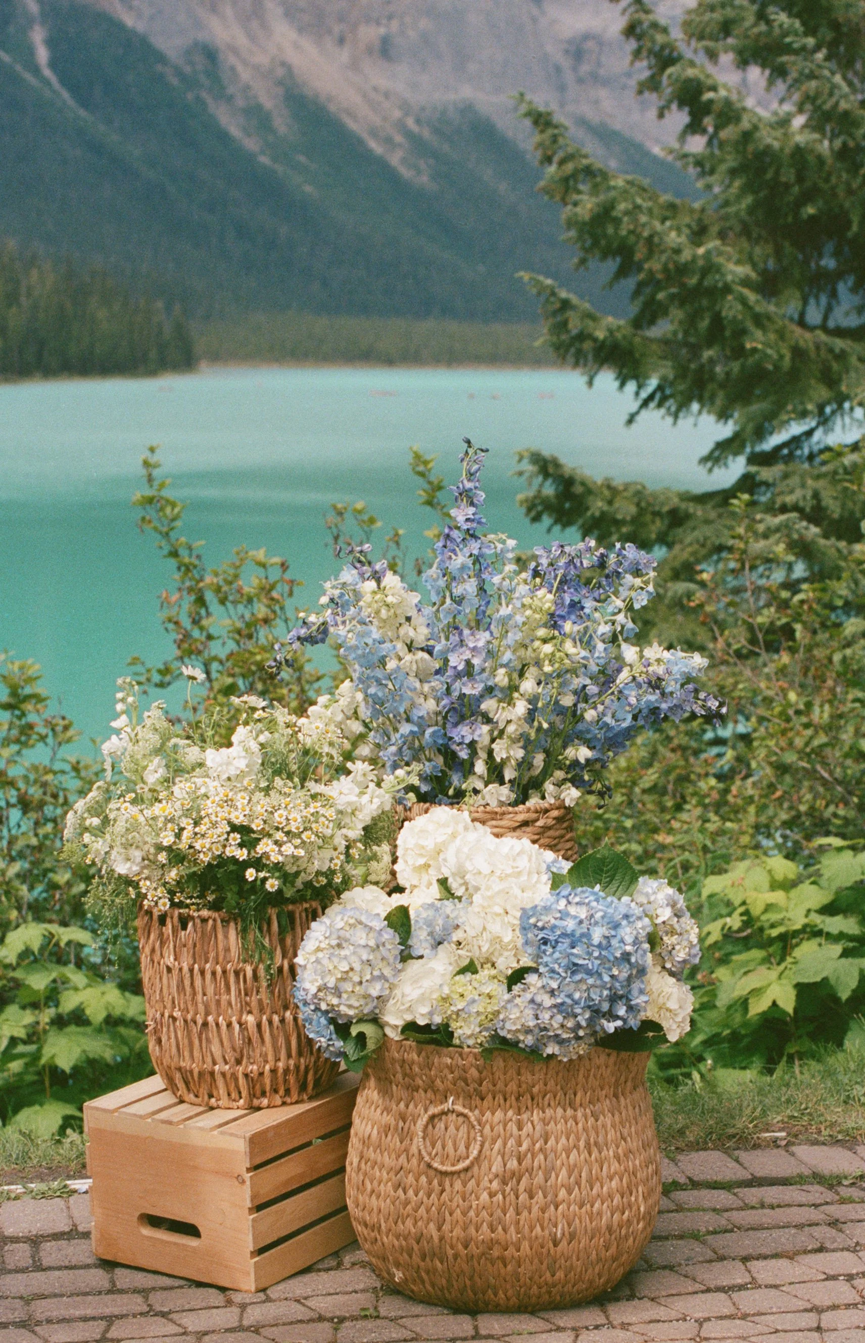 Photo Credit: @JackieKalch