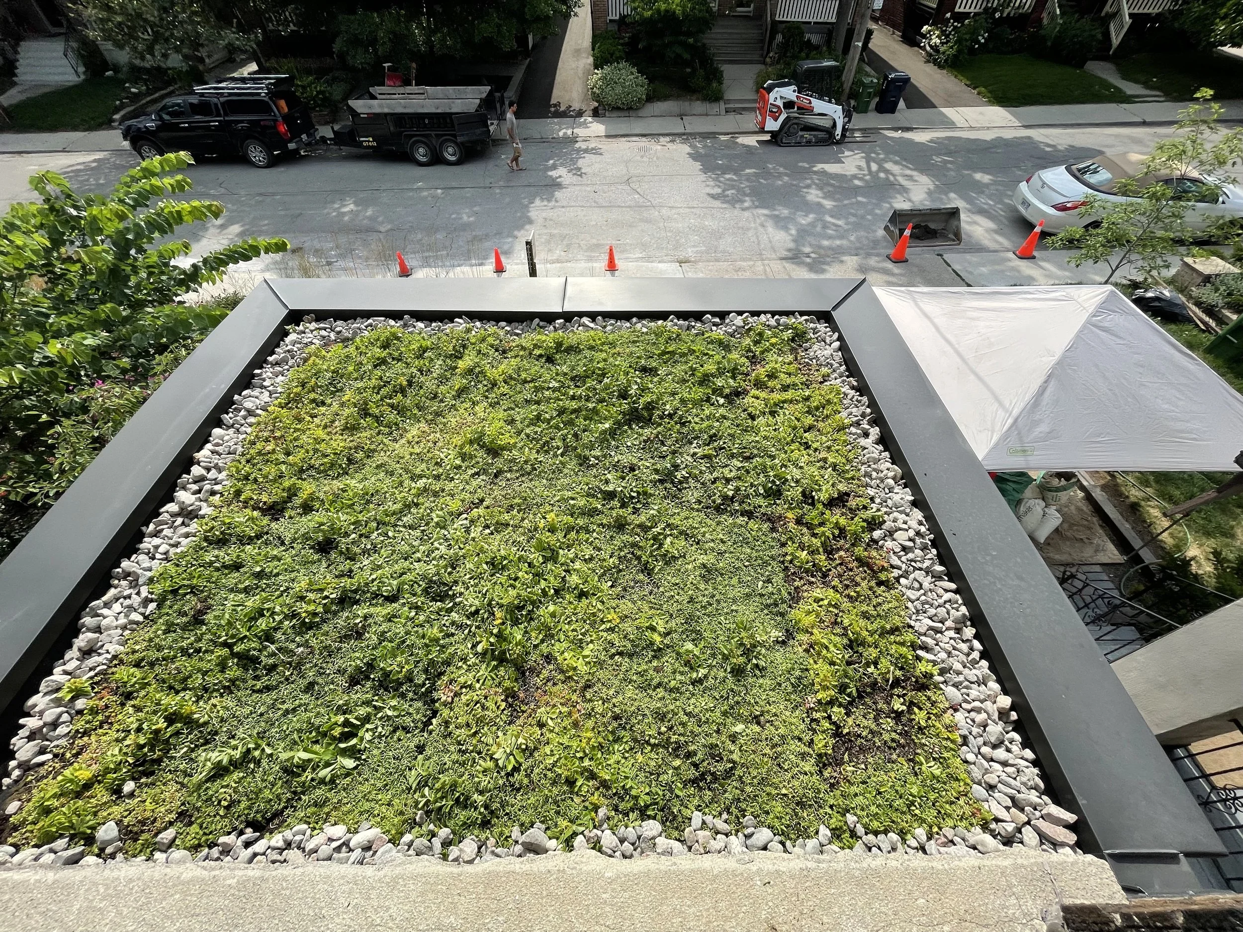 green-roof-sedum-river-stone-collingwood.jpeg