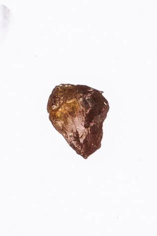 touralien small2.jpg