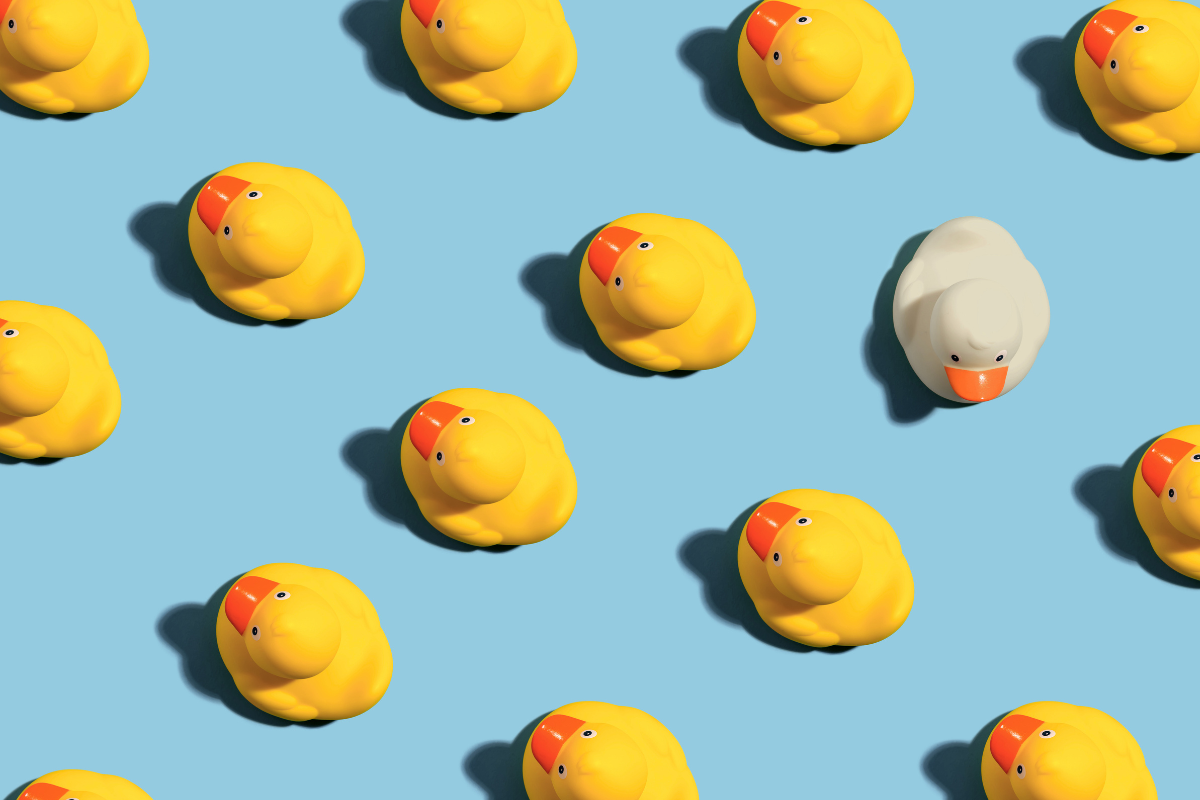A Micro-Resort Domino Effect