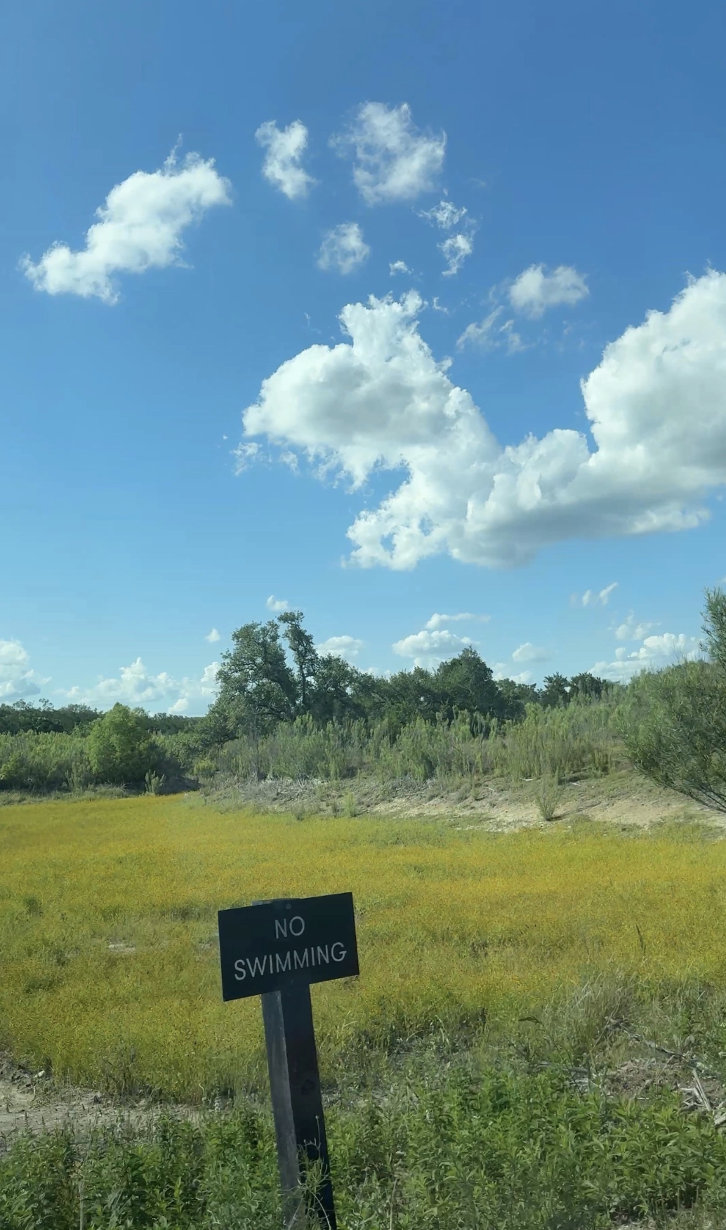 Sign "No Swimming" next to the swamp
