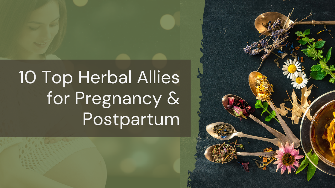 10 Top Herbal Allies for Pregnancy &amp; Postpartum
