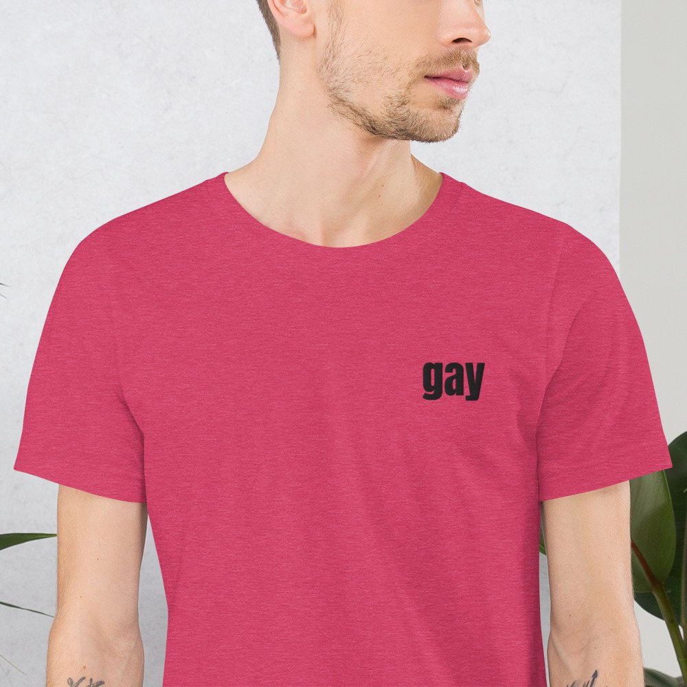 unisex-staple-t-shirt-heather-raspberry-zoomed-in-679c2379e2136.jpg