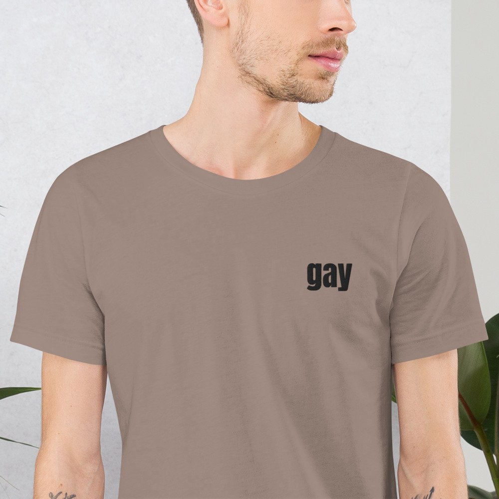 unisex-staple-t-shirt-pebble-zoomed-in-679c237a29237.jpg