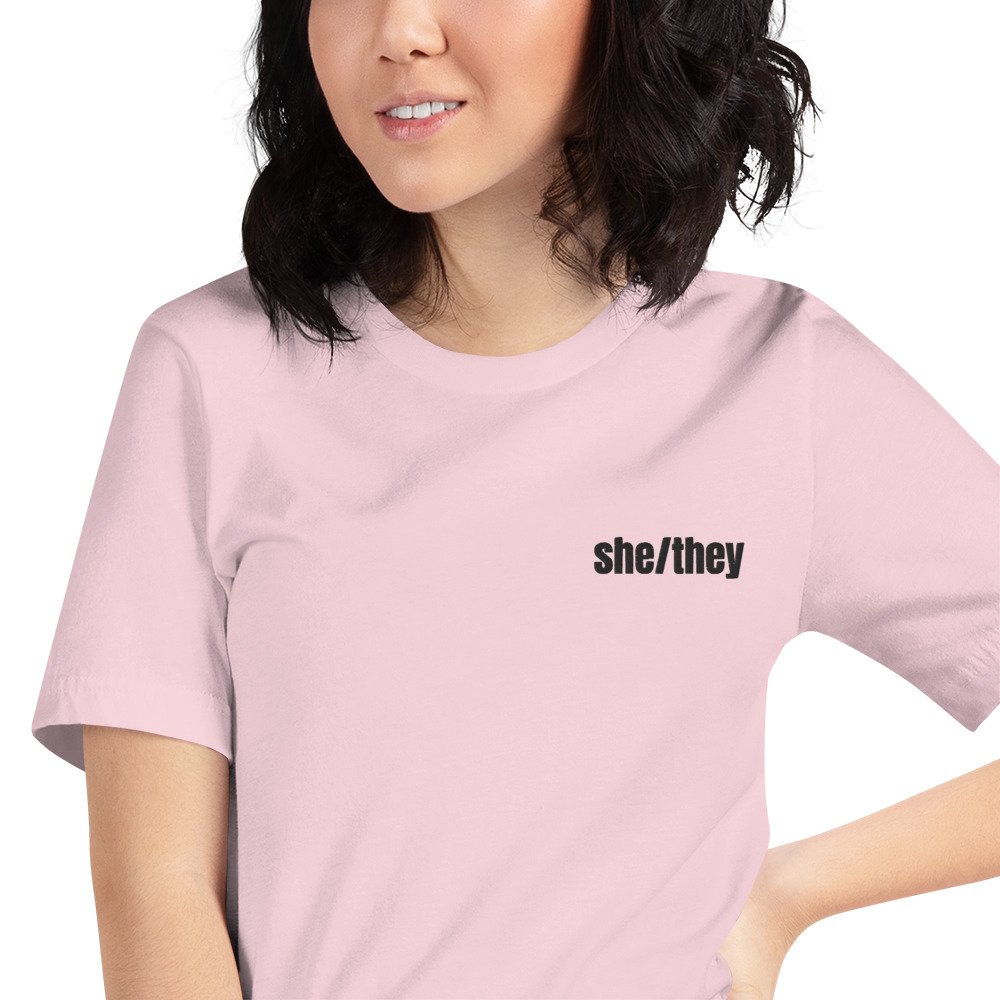 unisex-staple-t-shirt-soft-pink-zoomed-in-679c26d73168e.jpg