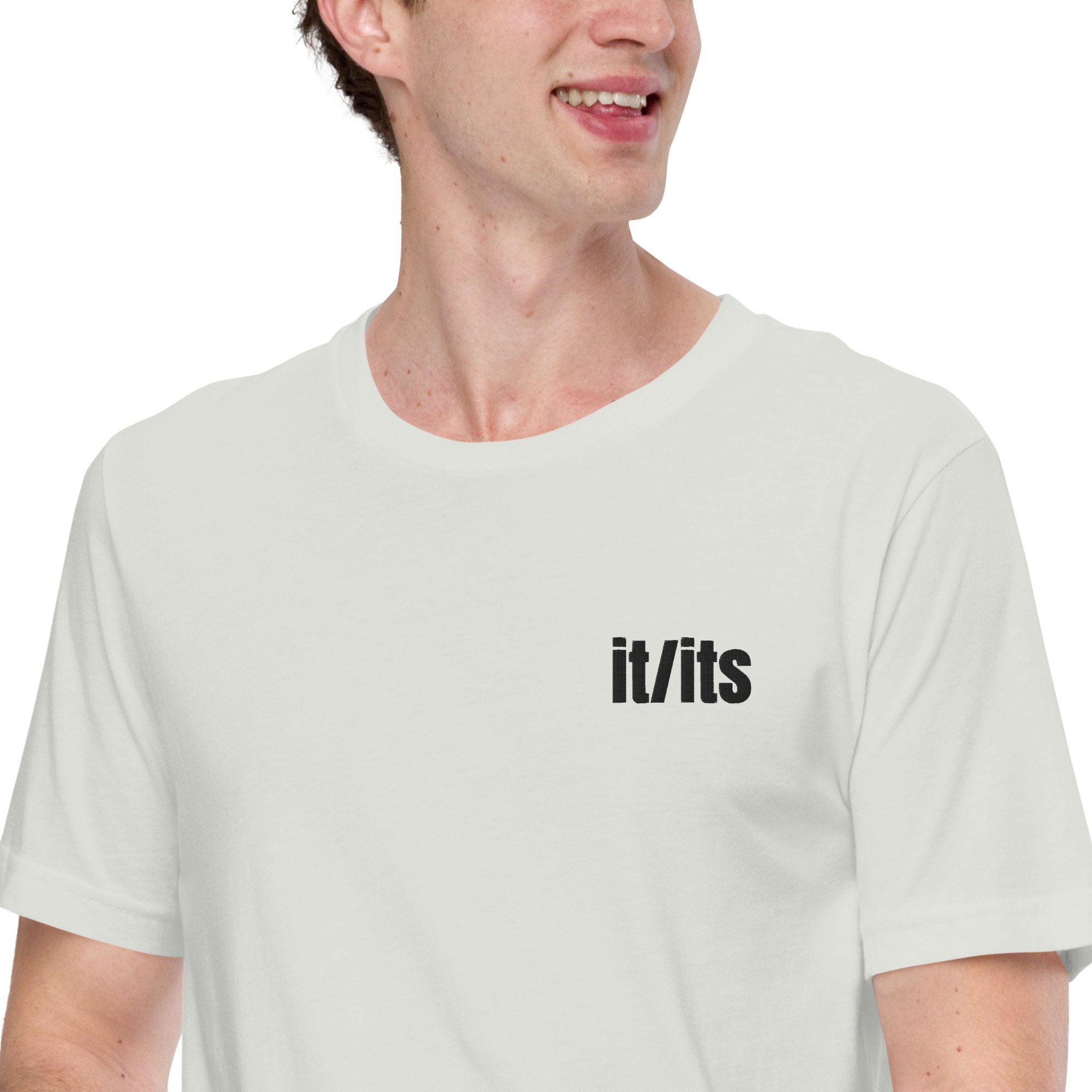 unisex-staple-t-shirt-silver-zoomed-in-679c288759c1e.jpg