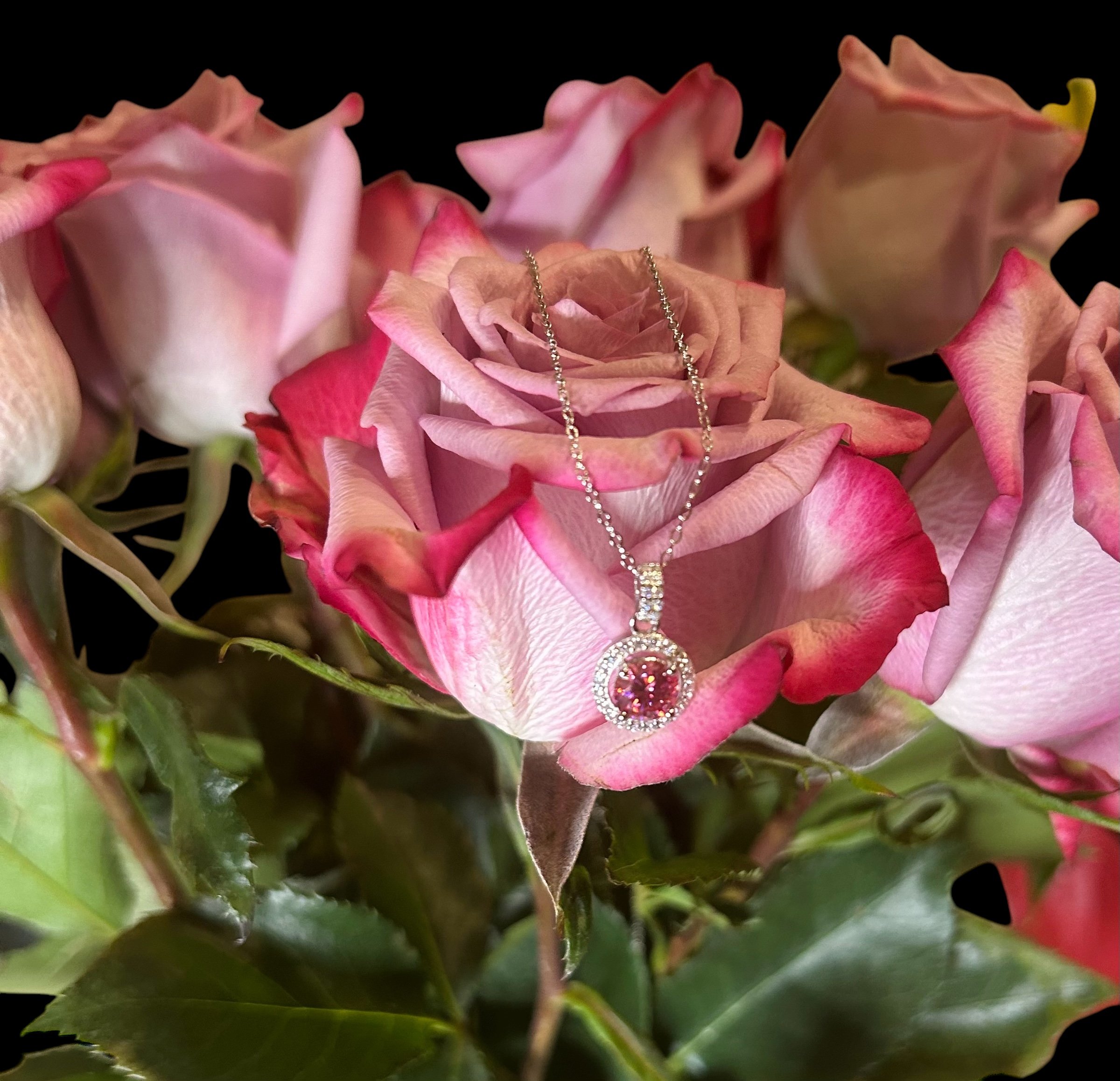 D34ED572-C5BD-456C-A4AA-30701A808FA2.jpeg