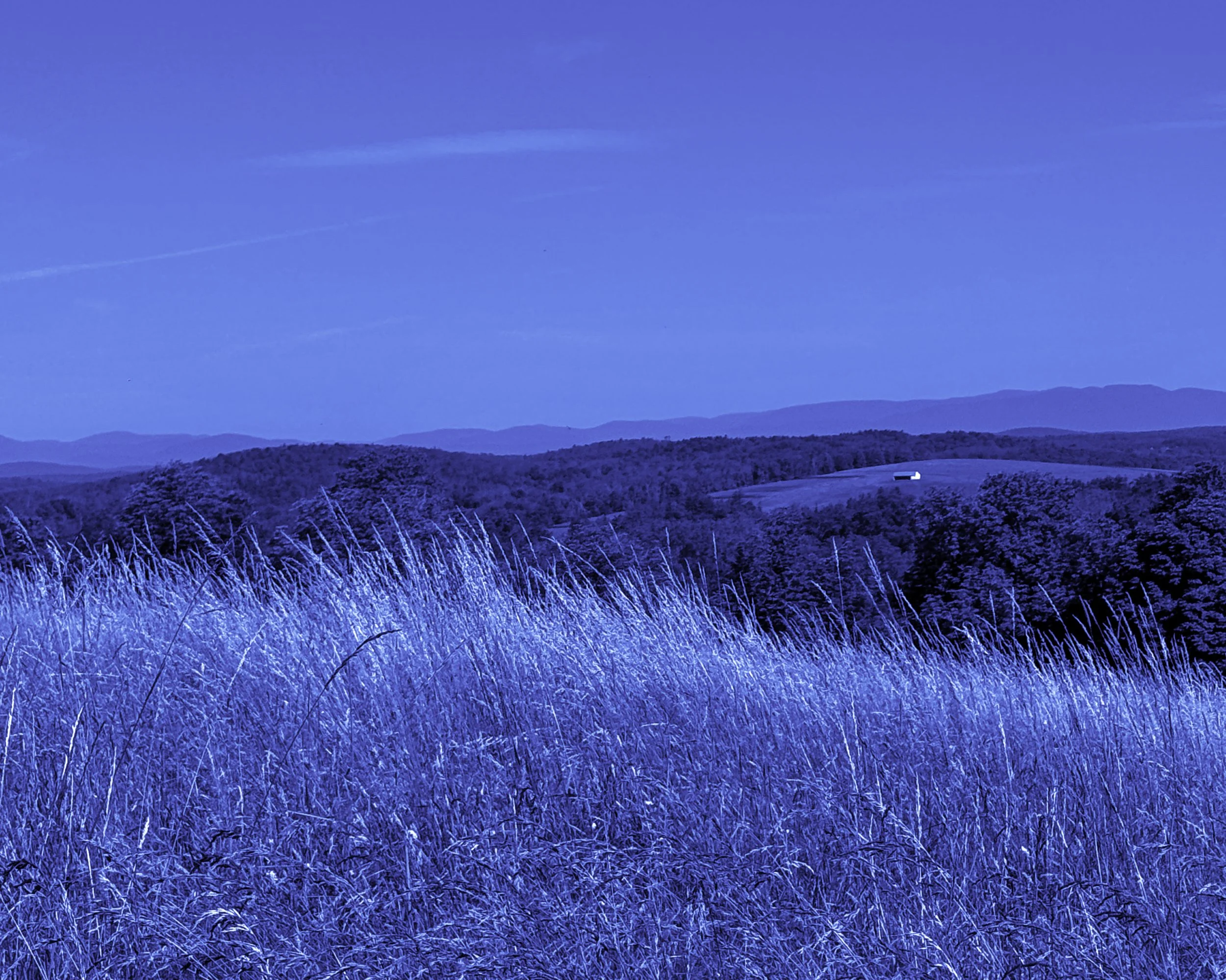 SethHowe_Blue Landscape.jpg