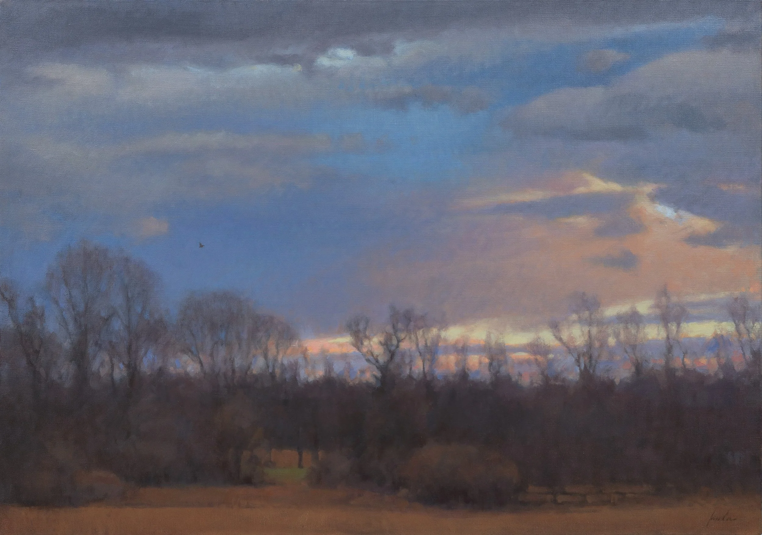 "Woodcock Sky" by James Coe