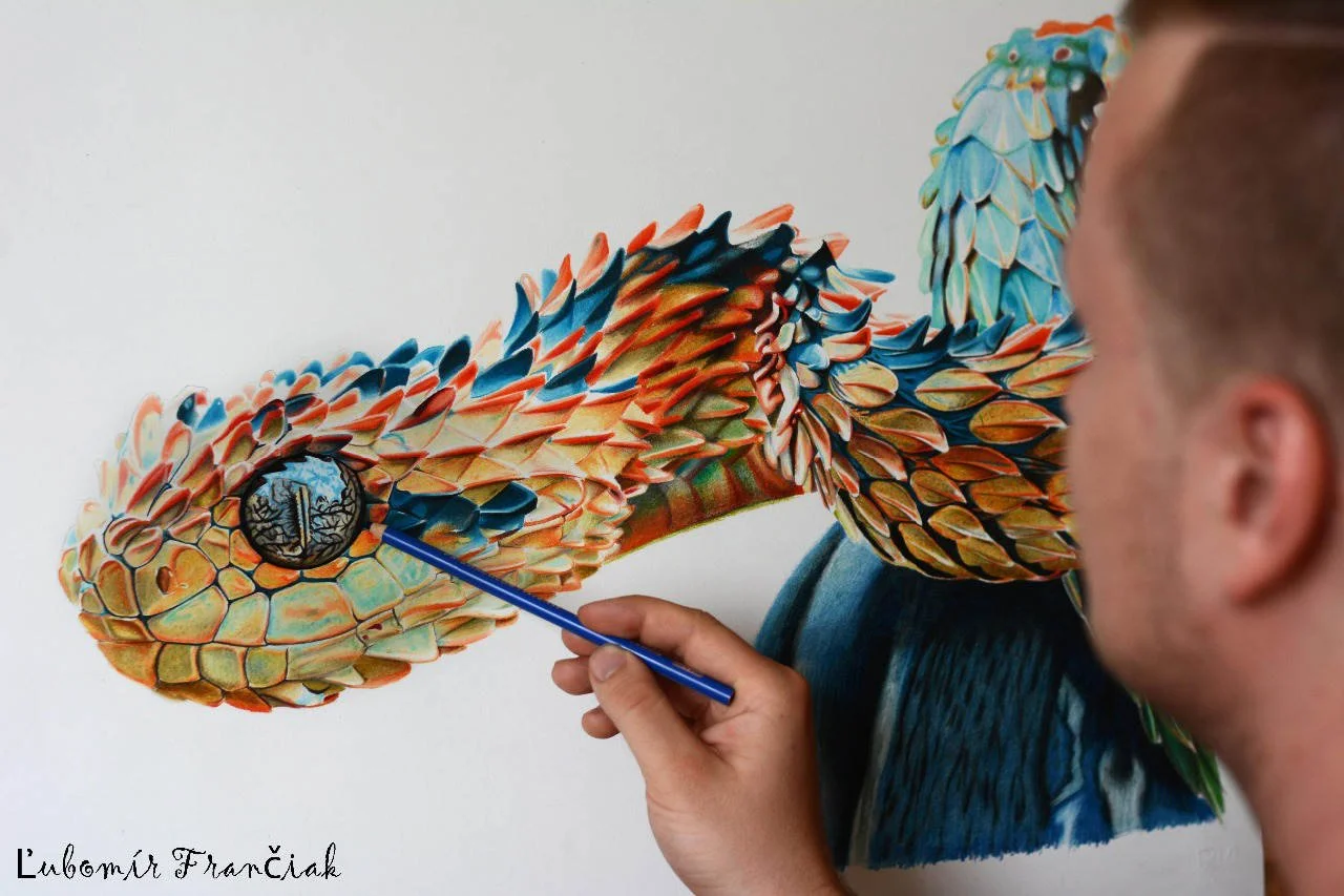 Drawing on paper, snake