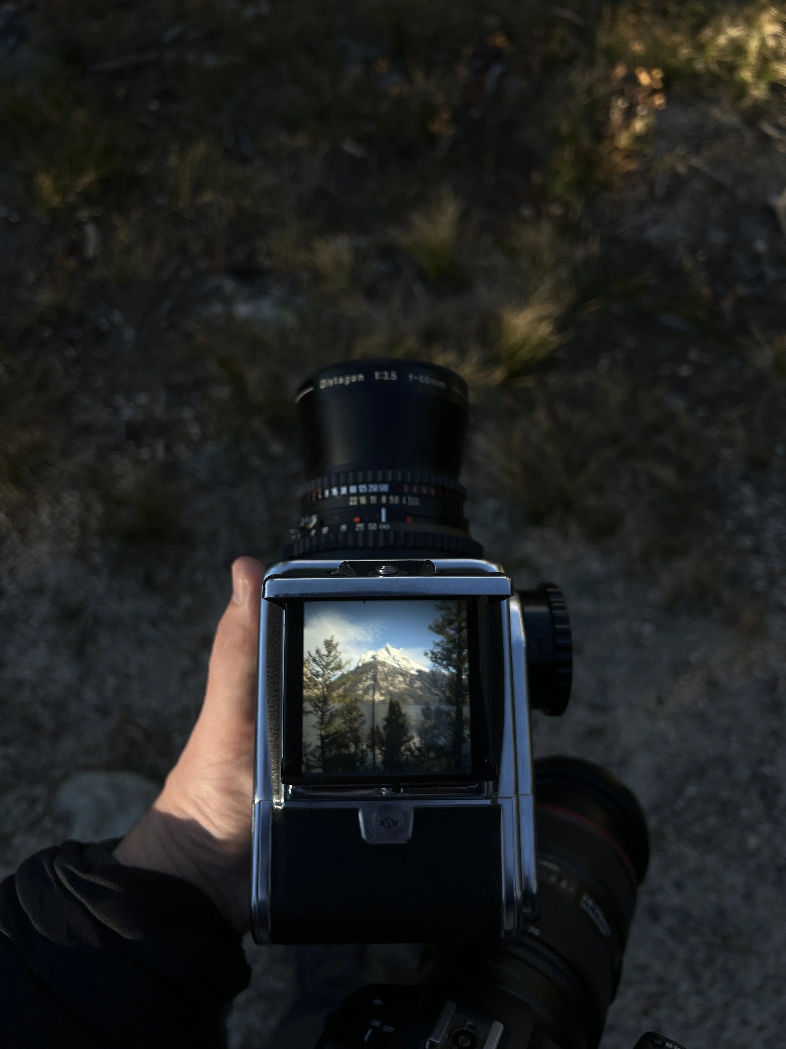 Joey Trcka film wedding photographer holding film camera in Grand Teton National Park in Jackson Hole, Wyoming.