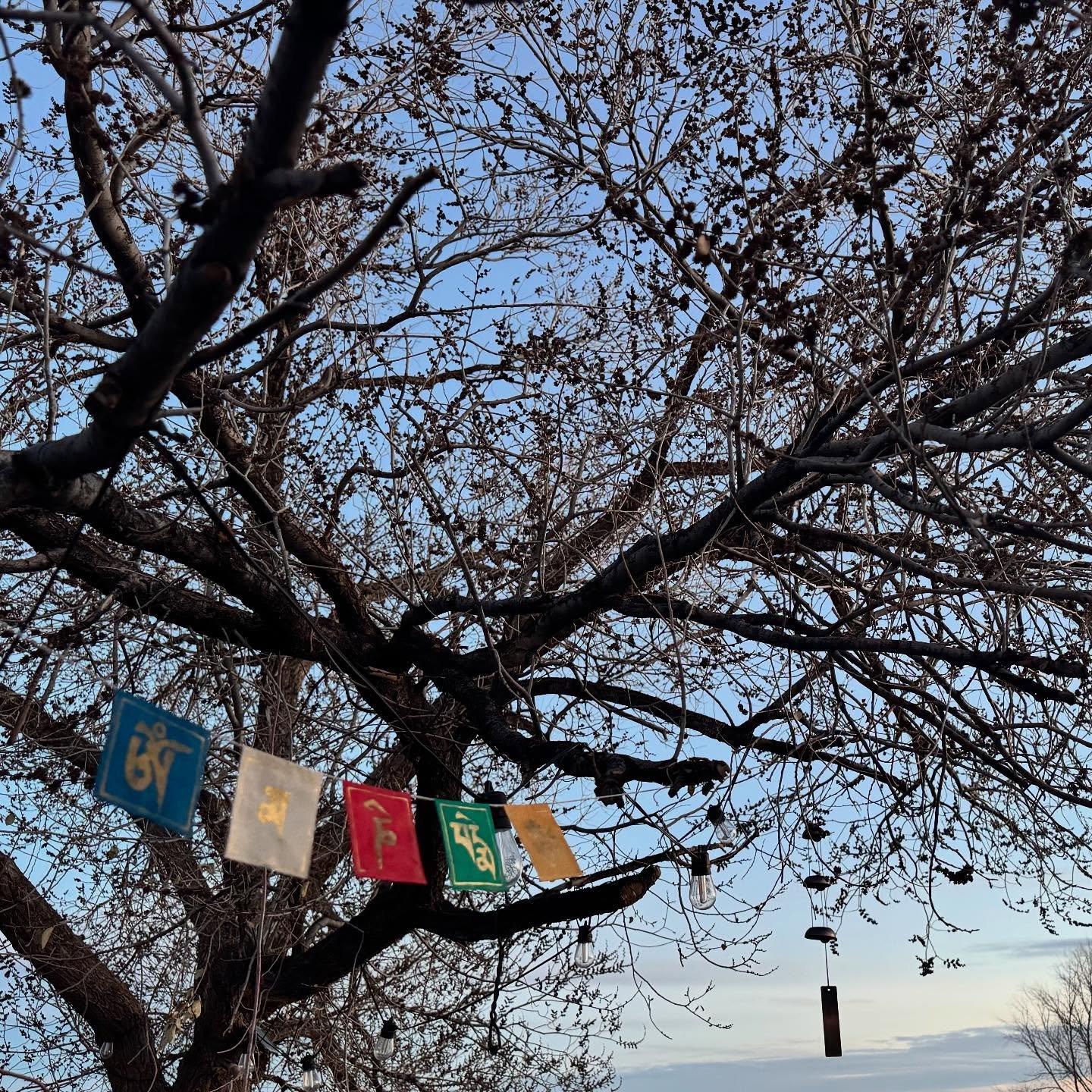 High winds and potential power outages&mdash;stay safe everybody.