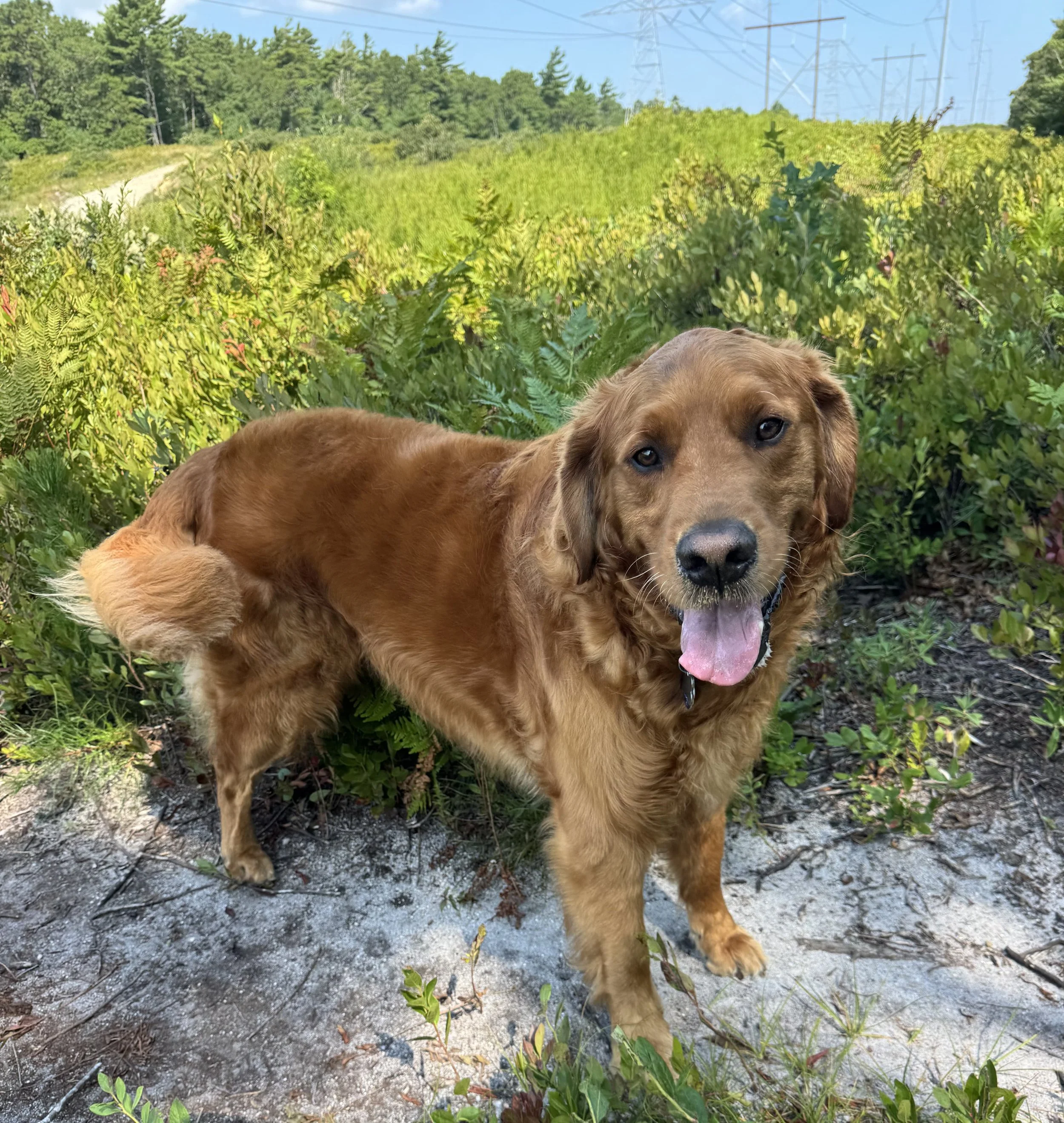 IMG_5793.jpg