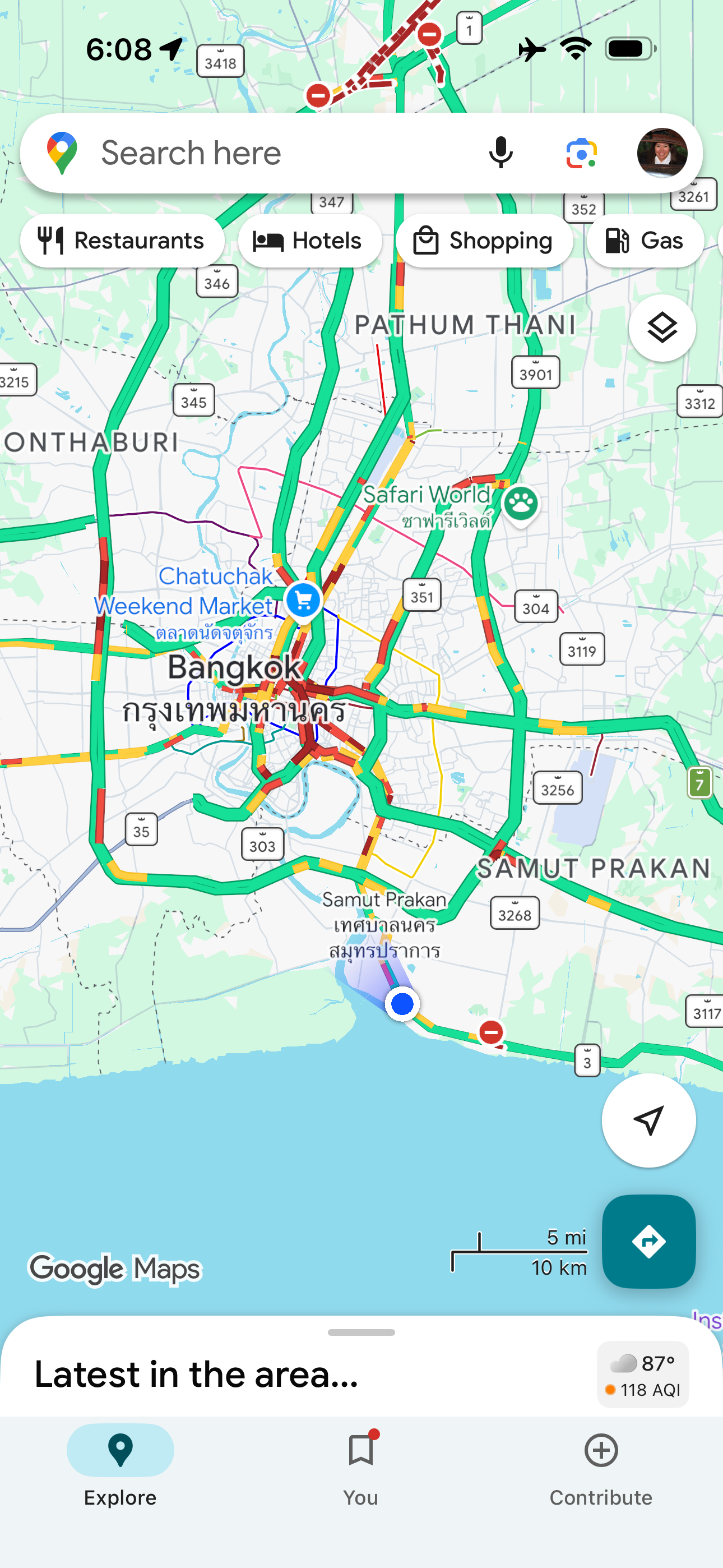 Trans-Siberian Seagulls