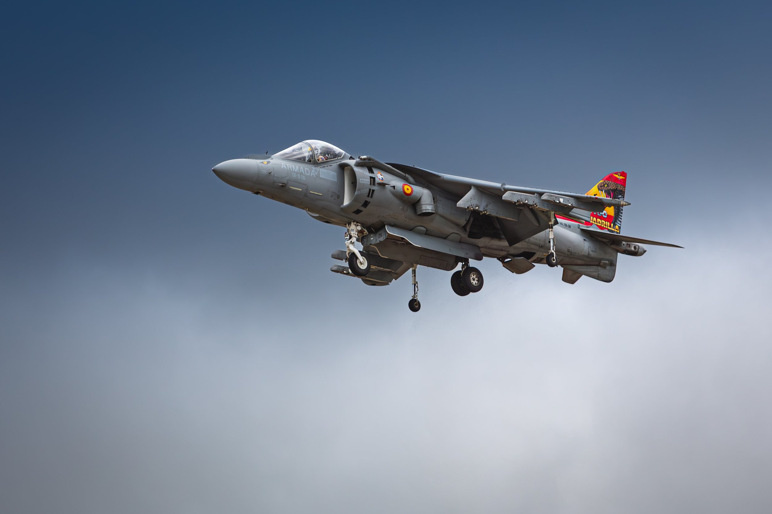 Harrier im Schwebeflug von der Seite.jpg