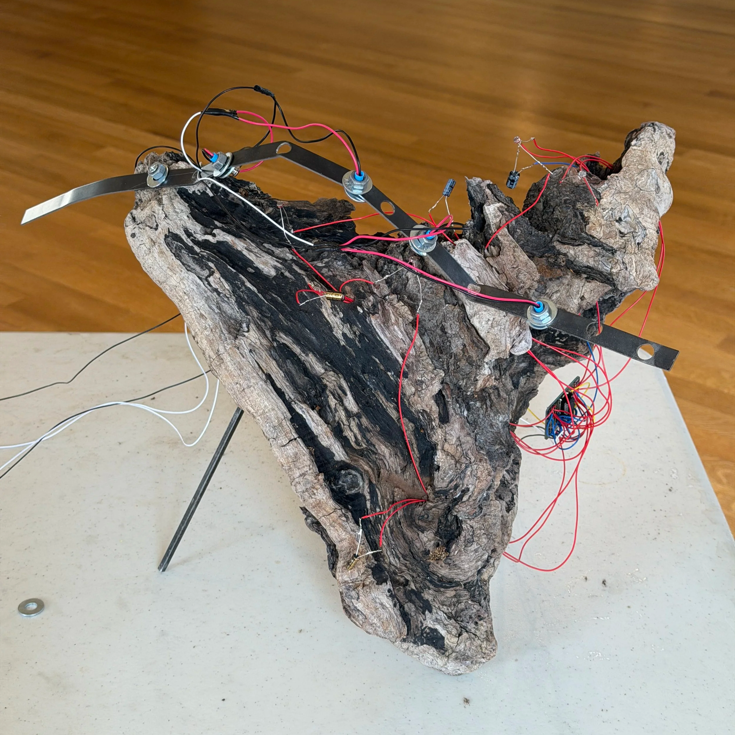 Driftwood Synths 2026