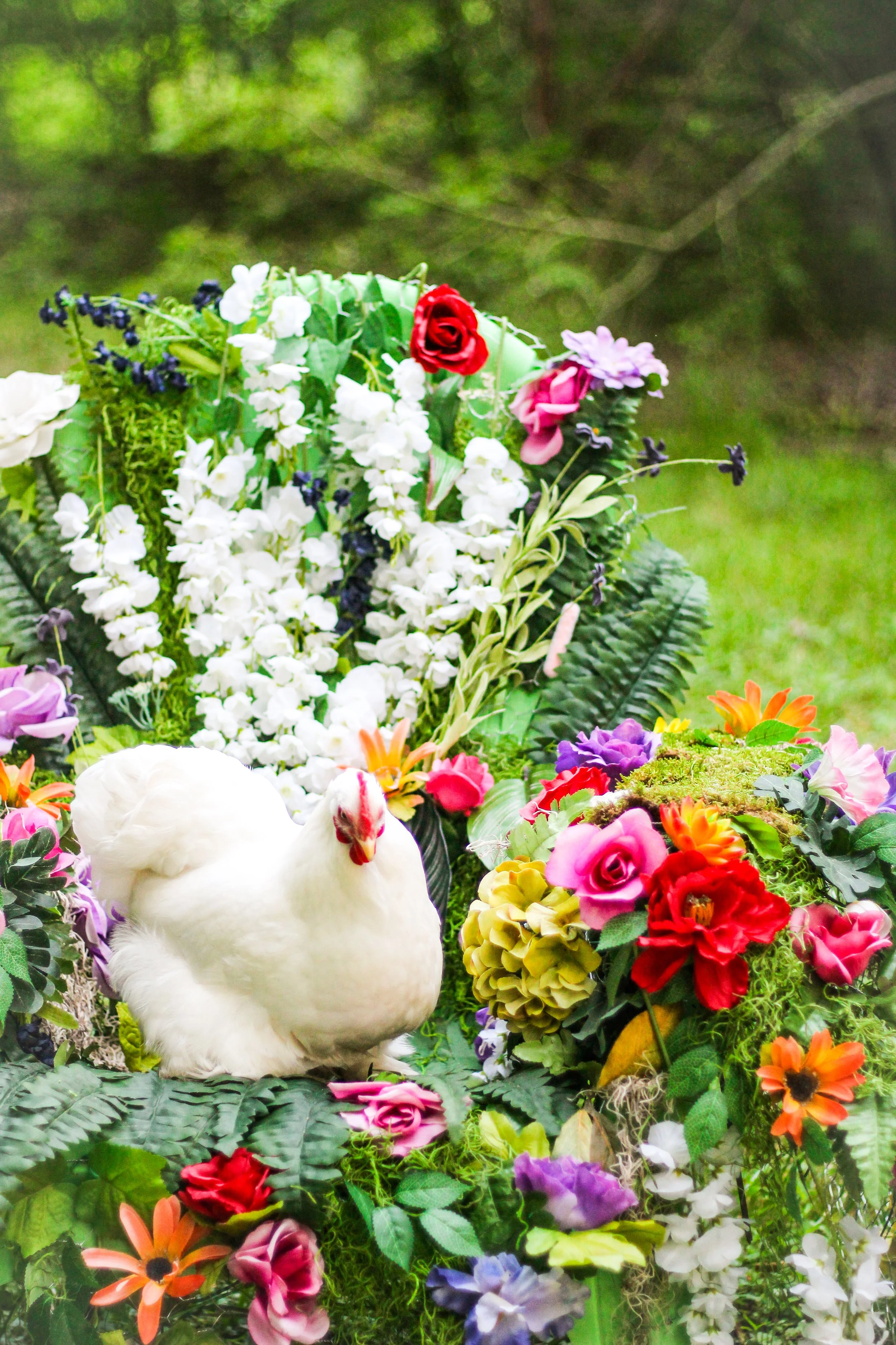 Fairy Throne made by me out of upcycled cemetery flowers, Model: Victoria the Chicken