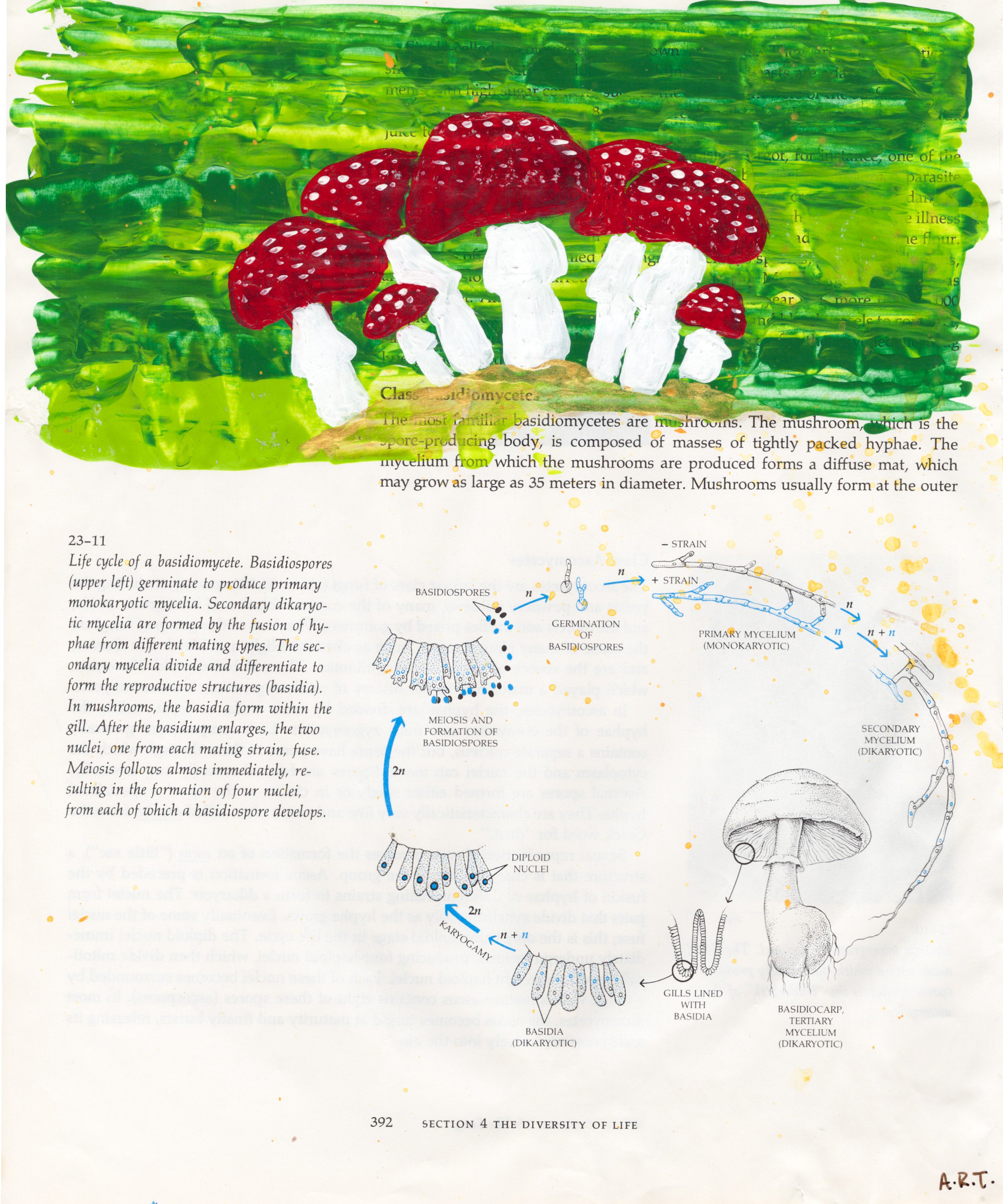 "Fun-Guy" - Mixed media, acrylic on upcycled vintage biology textbook pages