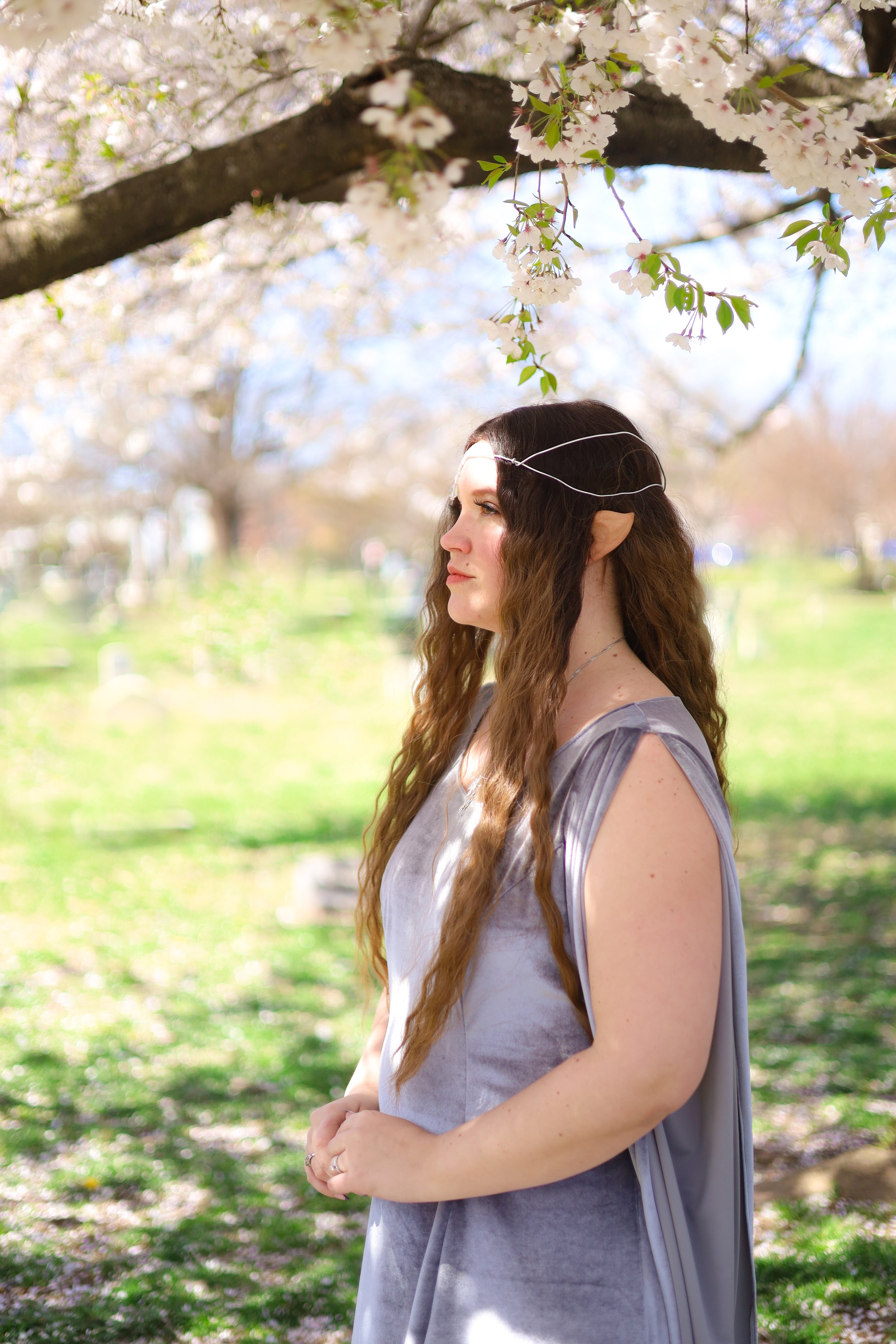 Arwen Cosplay - Photo by Erin JB White, Handmade velvet gown by me