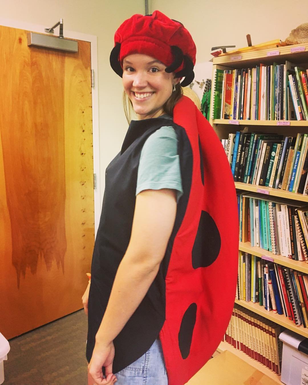 ladybug.jpg