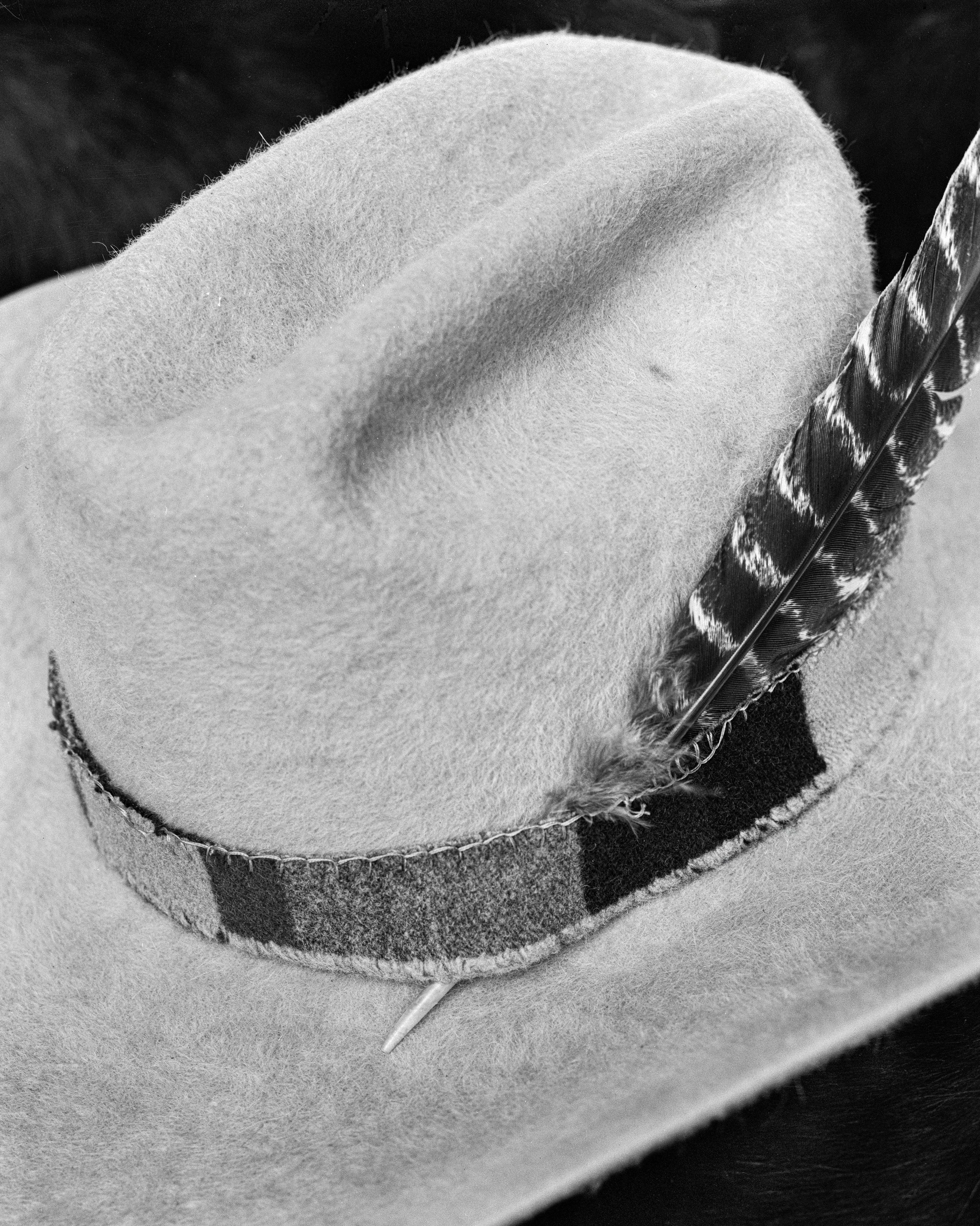 feather_1.jpg