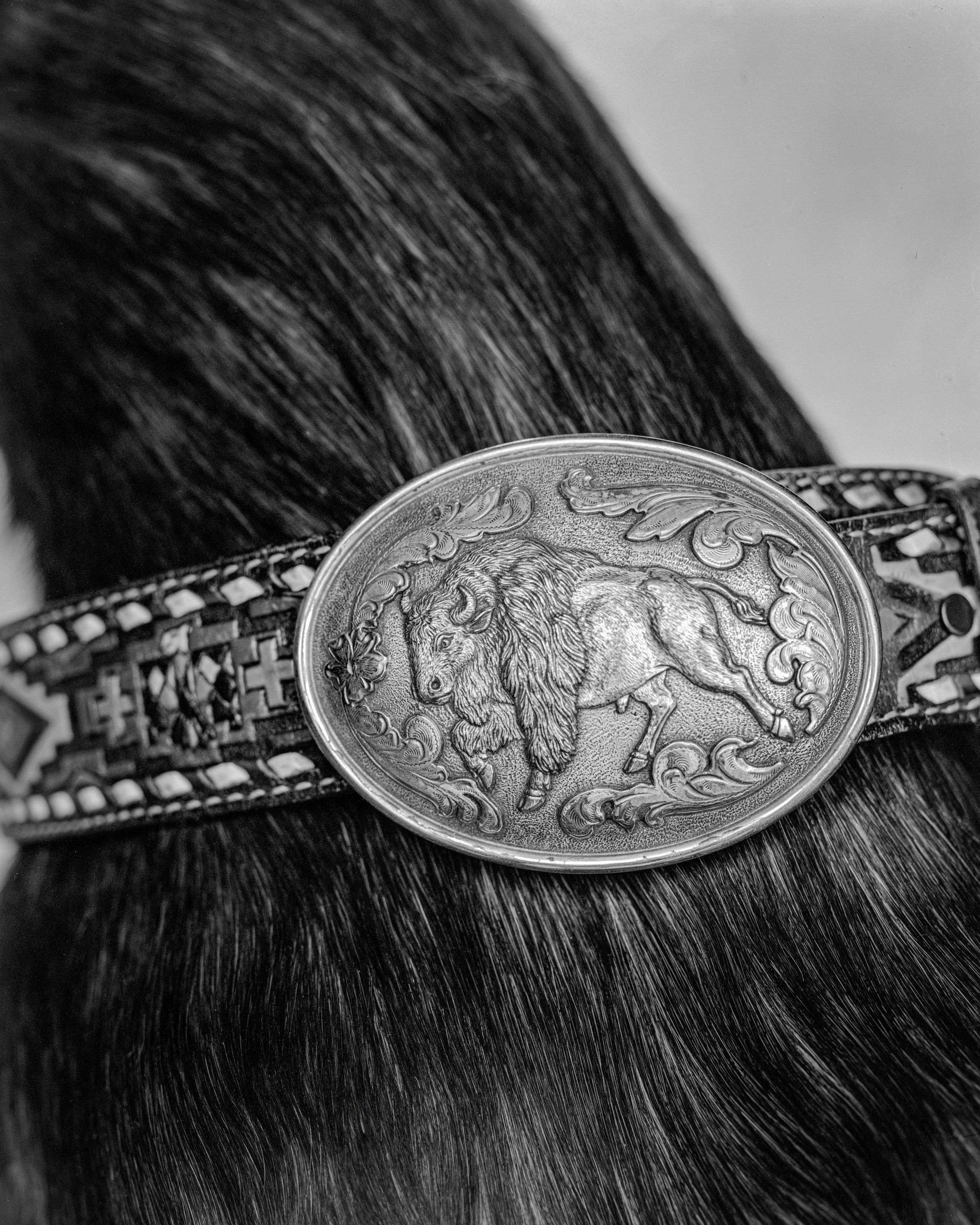 buckle_buffalo 2.jpg