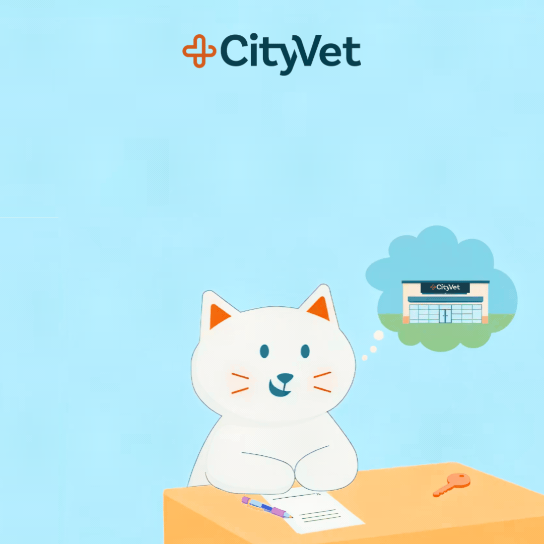 CityVet Illustrations