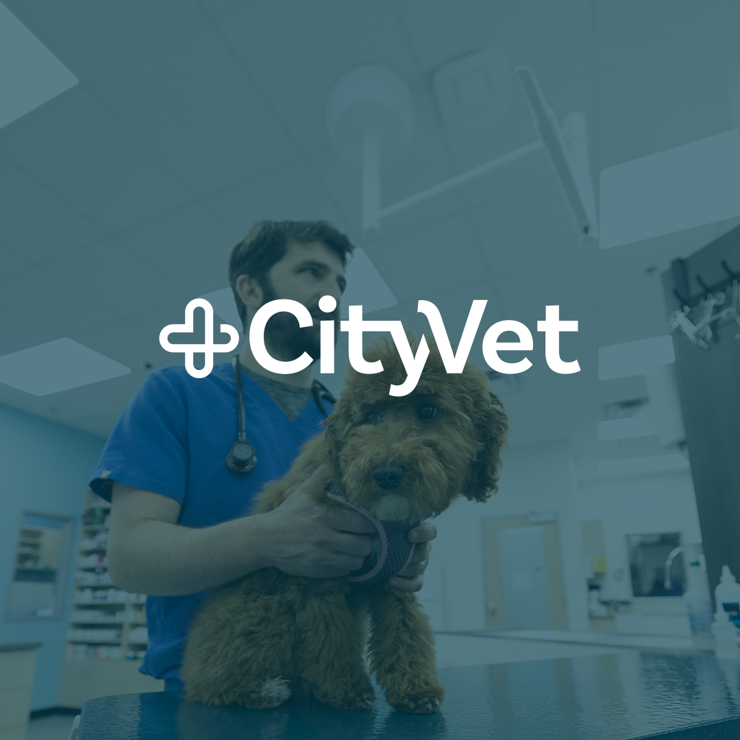 CityVet Recruiting