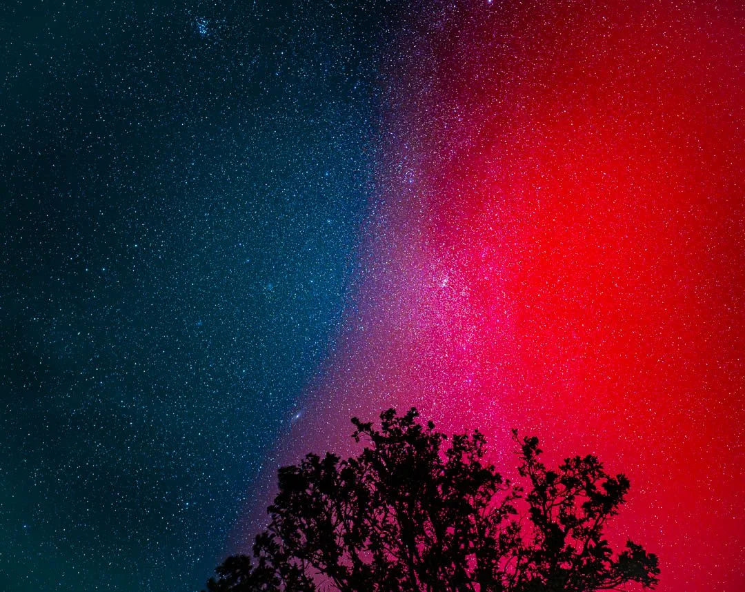 Z63_8584.jpg