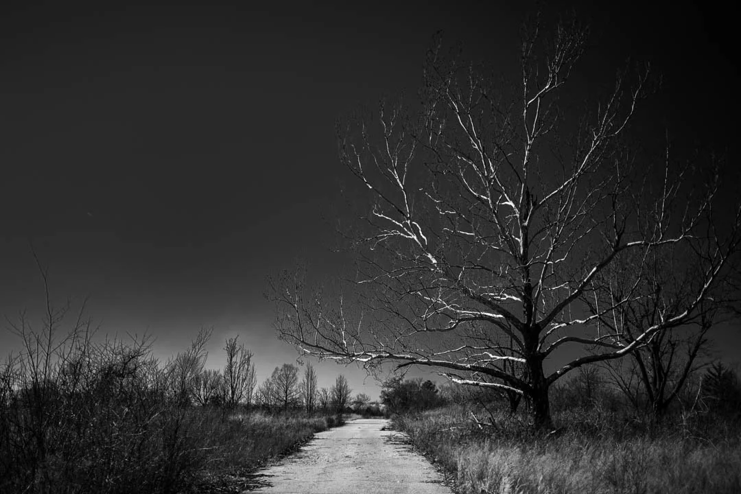 Z63_0653.jpg