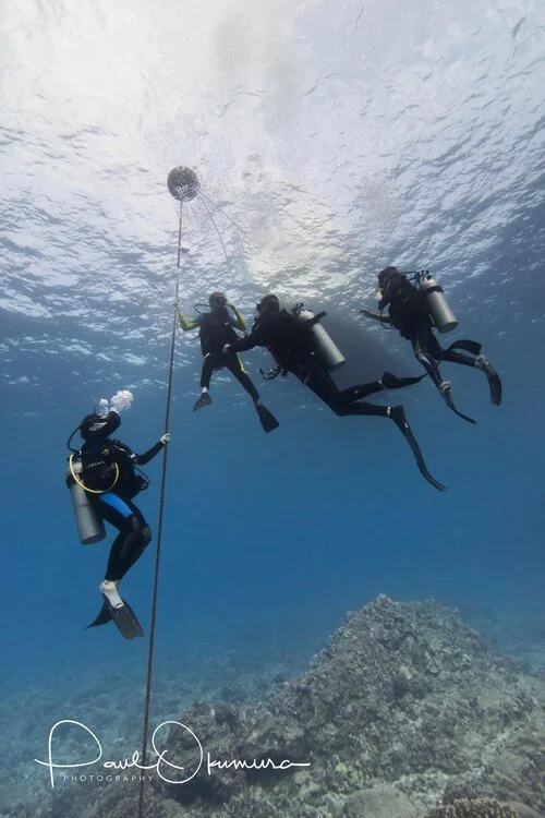Four scuba divers underwater attaching or inspecting a floating device with a cable, near a coral-covered ocean floor.