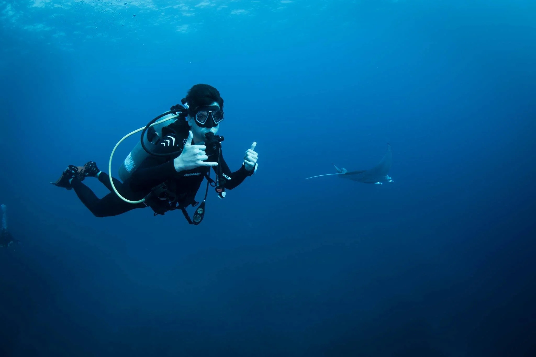 A scuba diver underwater making the shaka sign with both hands, with a manta ray swimming in the background.